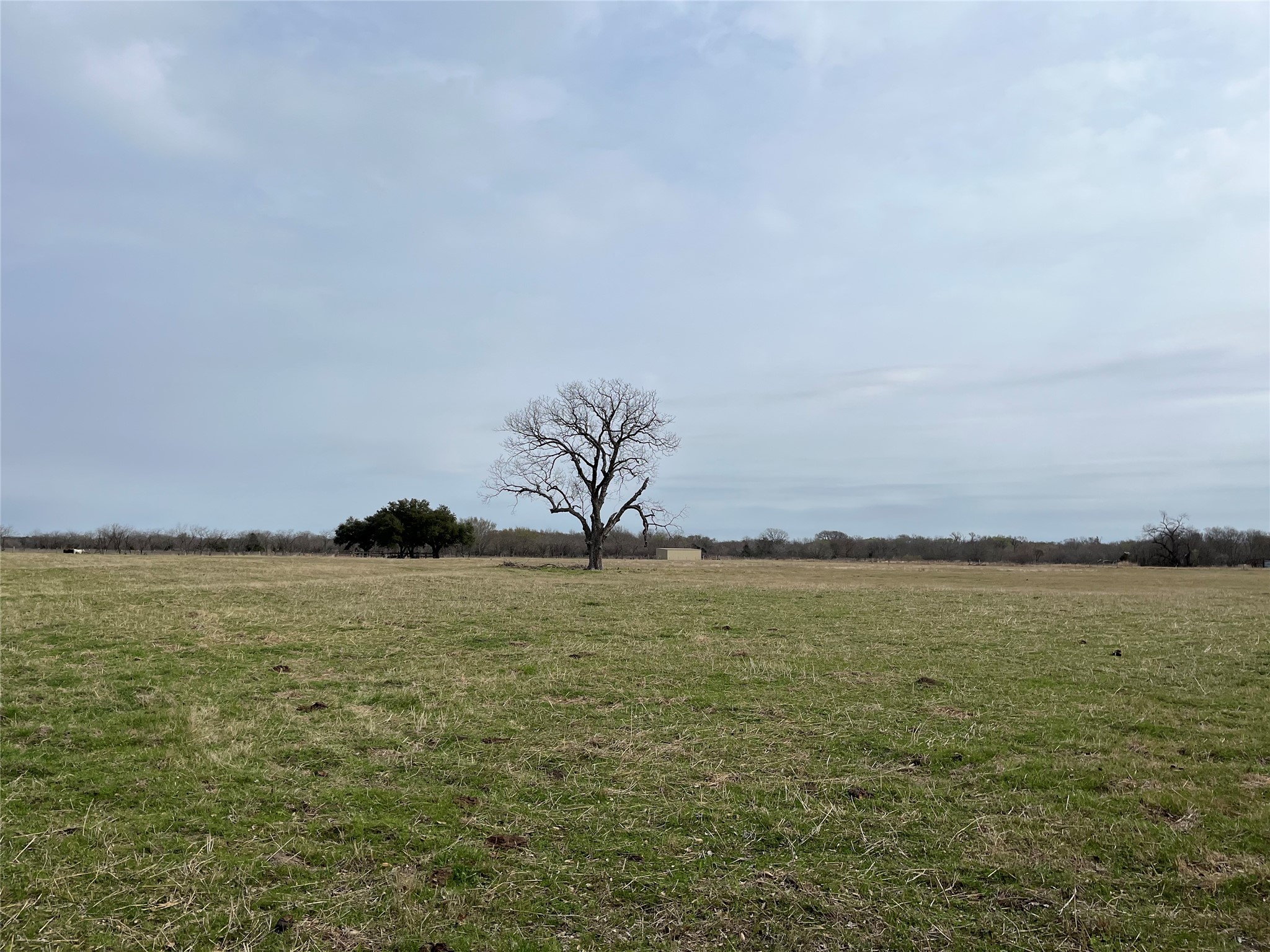 Tbd NW Cr 4010 Blooming Grove TX 76626