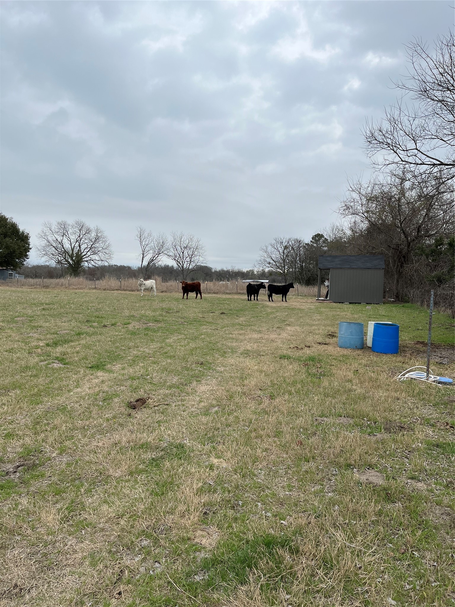 Tbd NW Cr 4010 Blooming Grove TX 76626