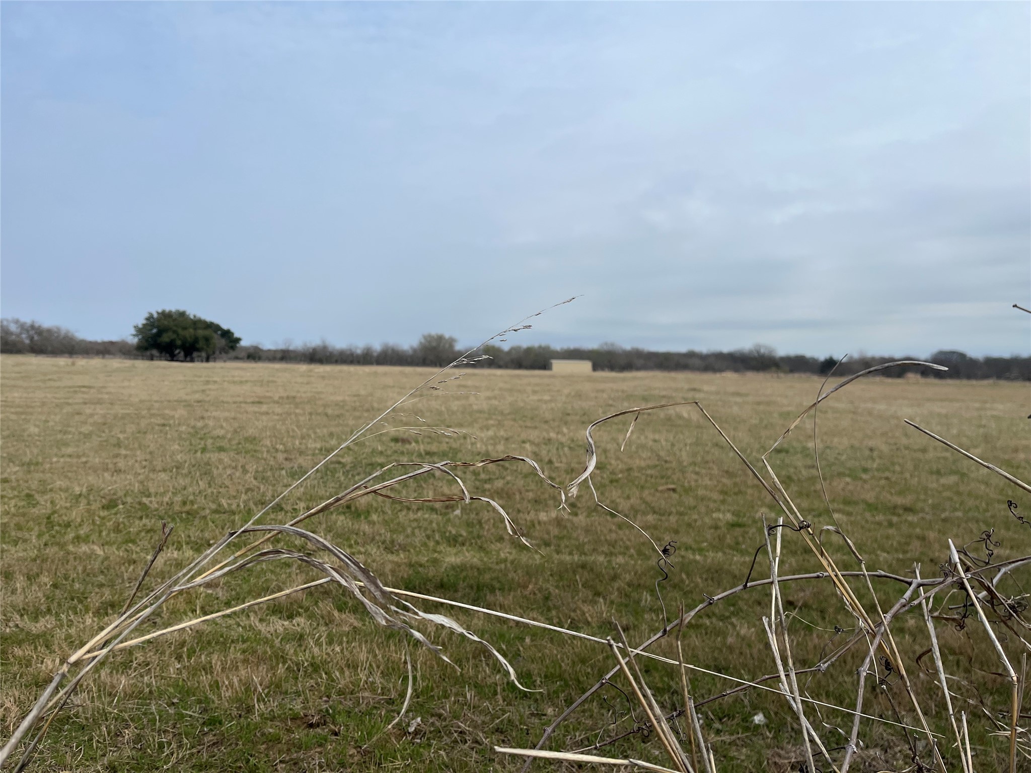 Tbd NW Cr 4010 Blooming Grove TX 76626