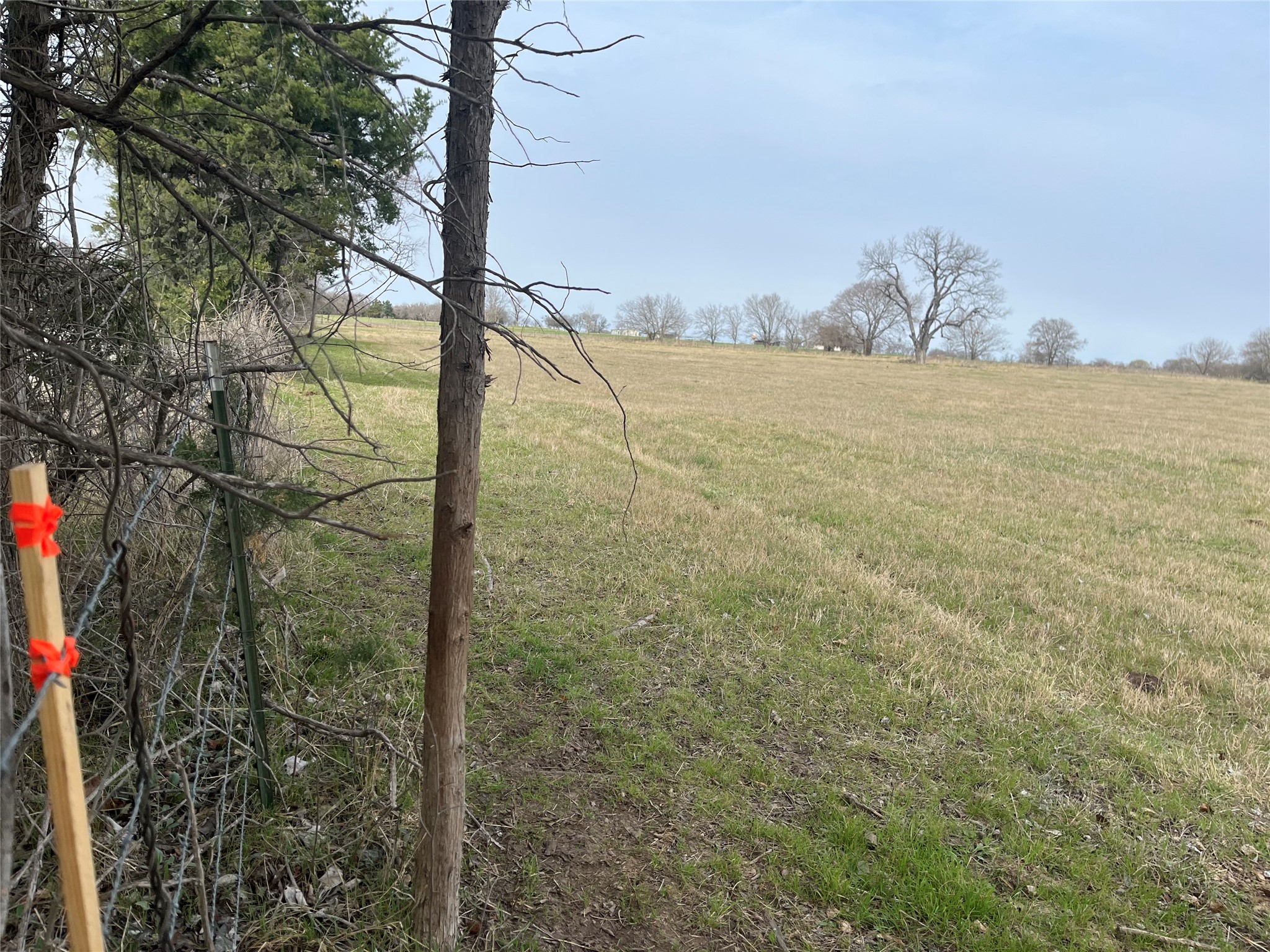 Tbd NW Cr 4010 Blooming Grove TX 76626
