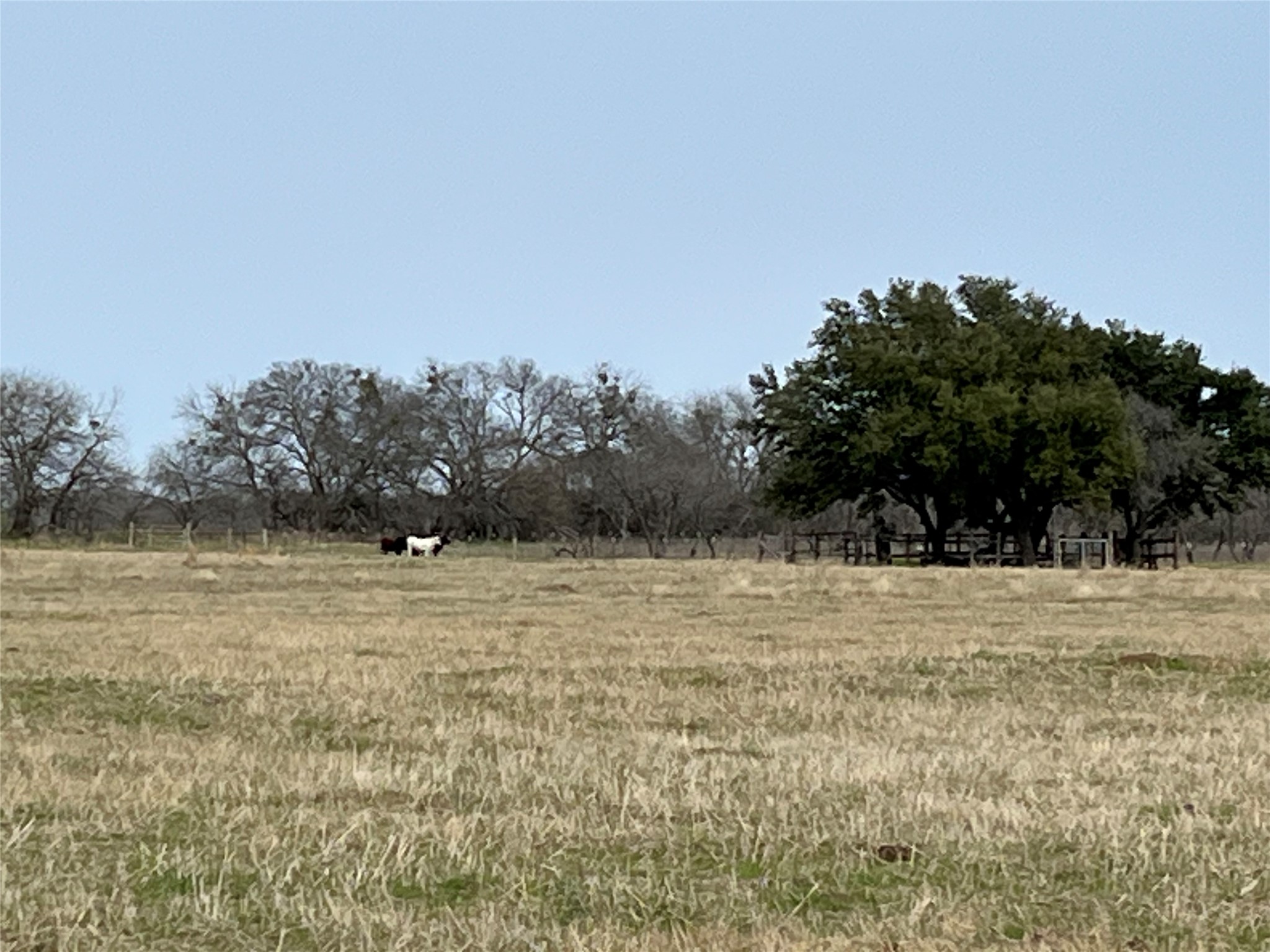Tbd NW Cr 4010 Blooming Grove TX 76626