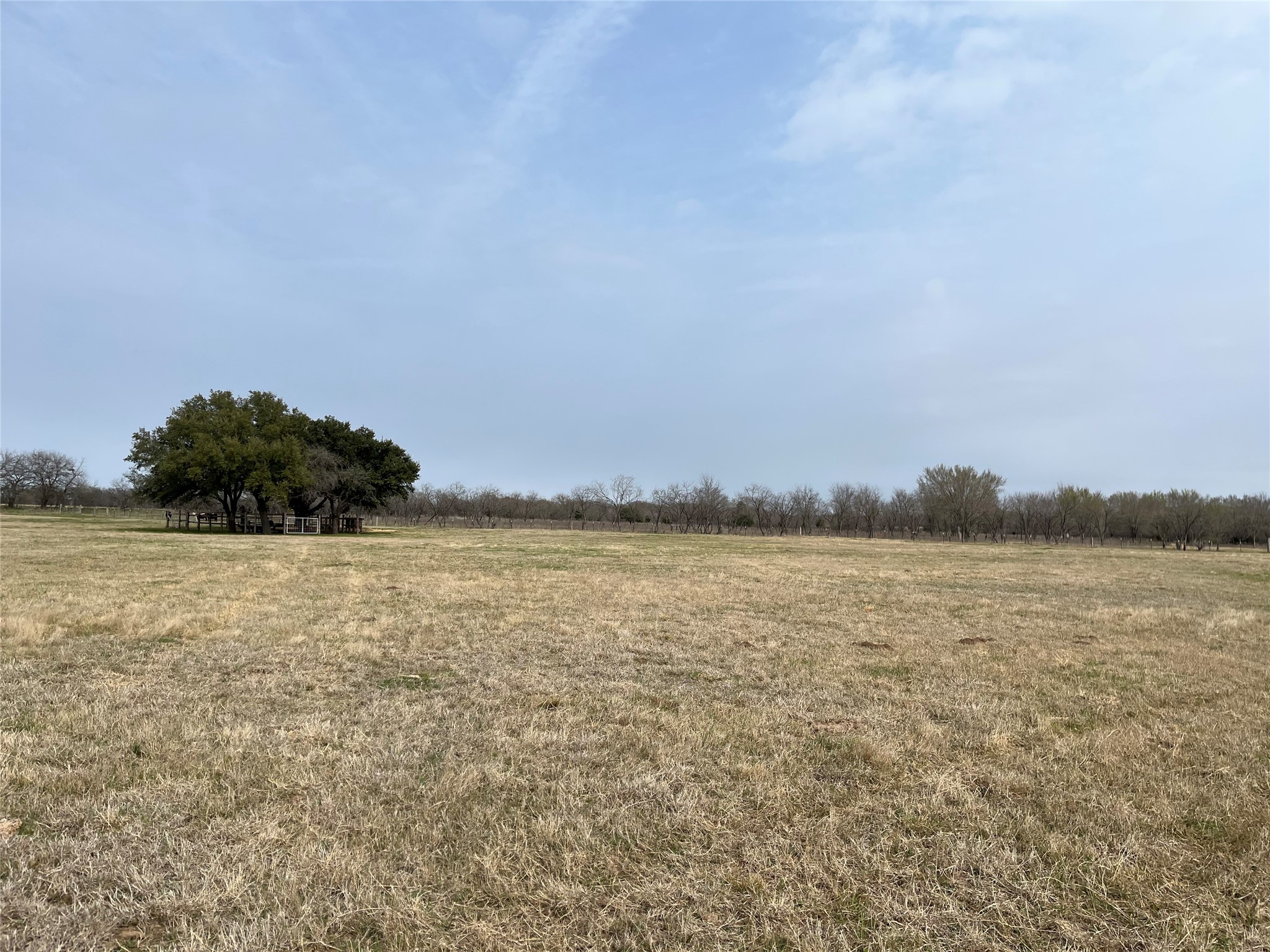 Tbd NW Cr 4010 Blooming Grove TX 76626