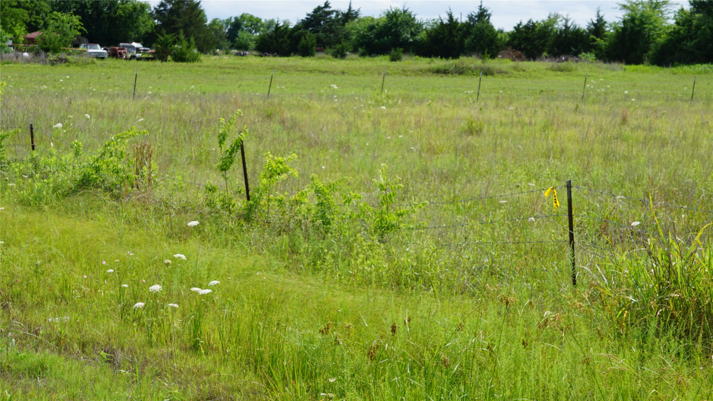 10468 State Highway 50 Ladonia TX 75449