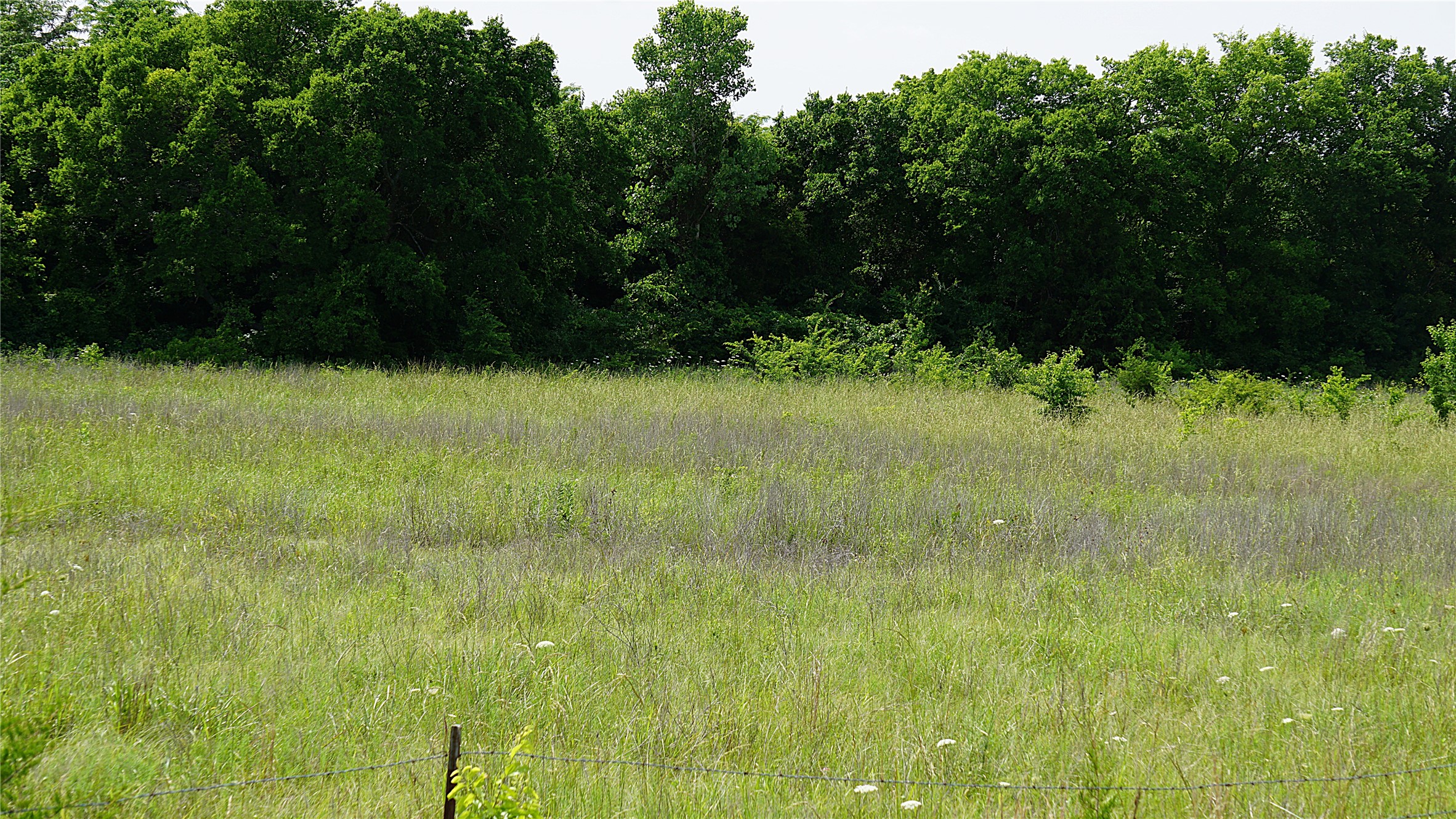 10468 State Highway 50 Ladonia TX 75449