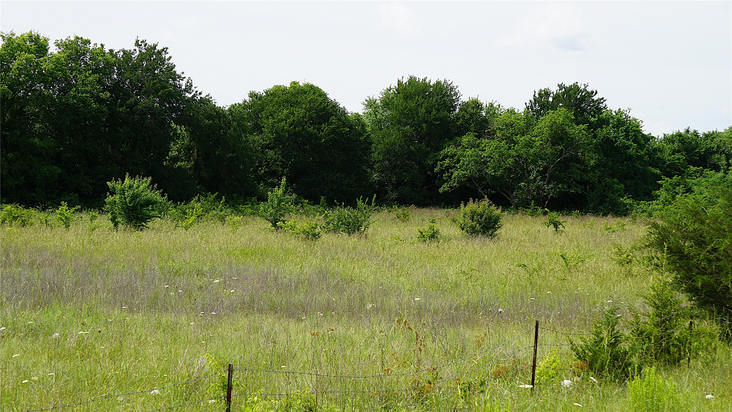 10468 State Highway 50 Ladonia TX 75449
