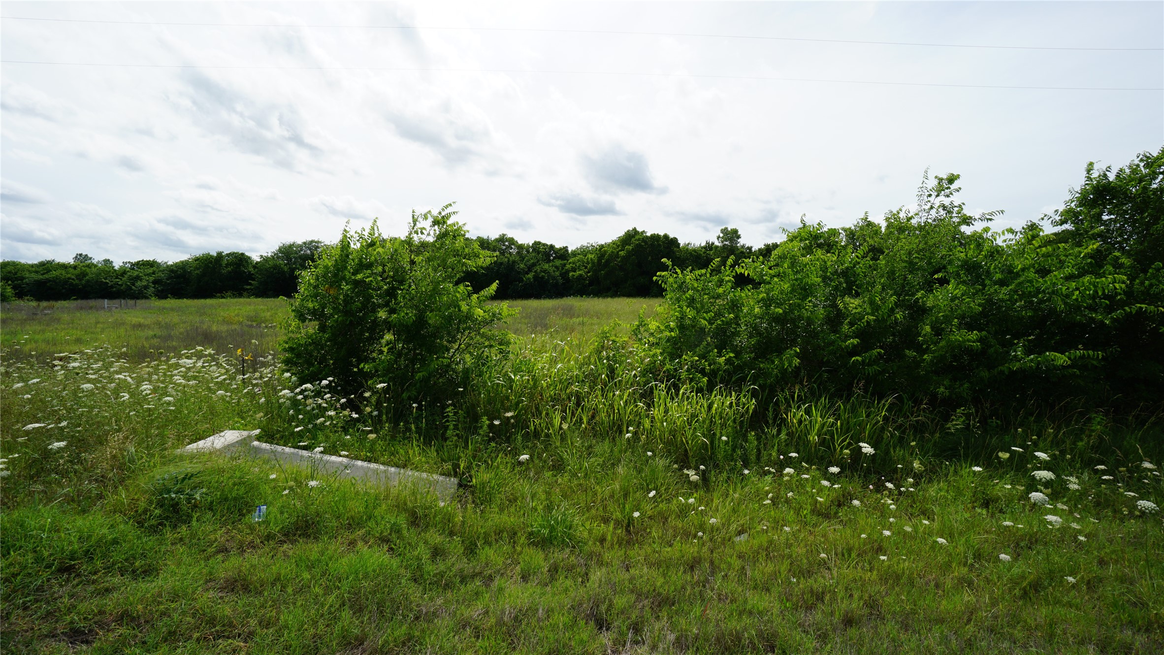 10468 State Highway 50 Ladonia TX 75449