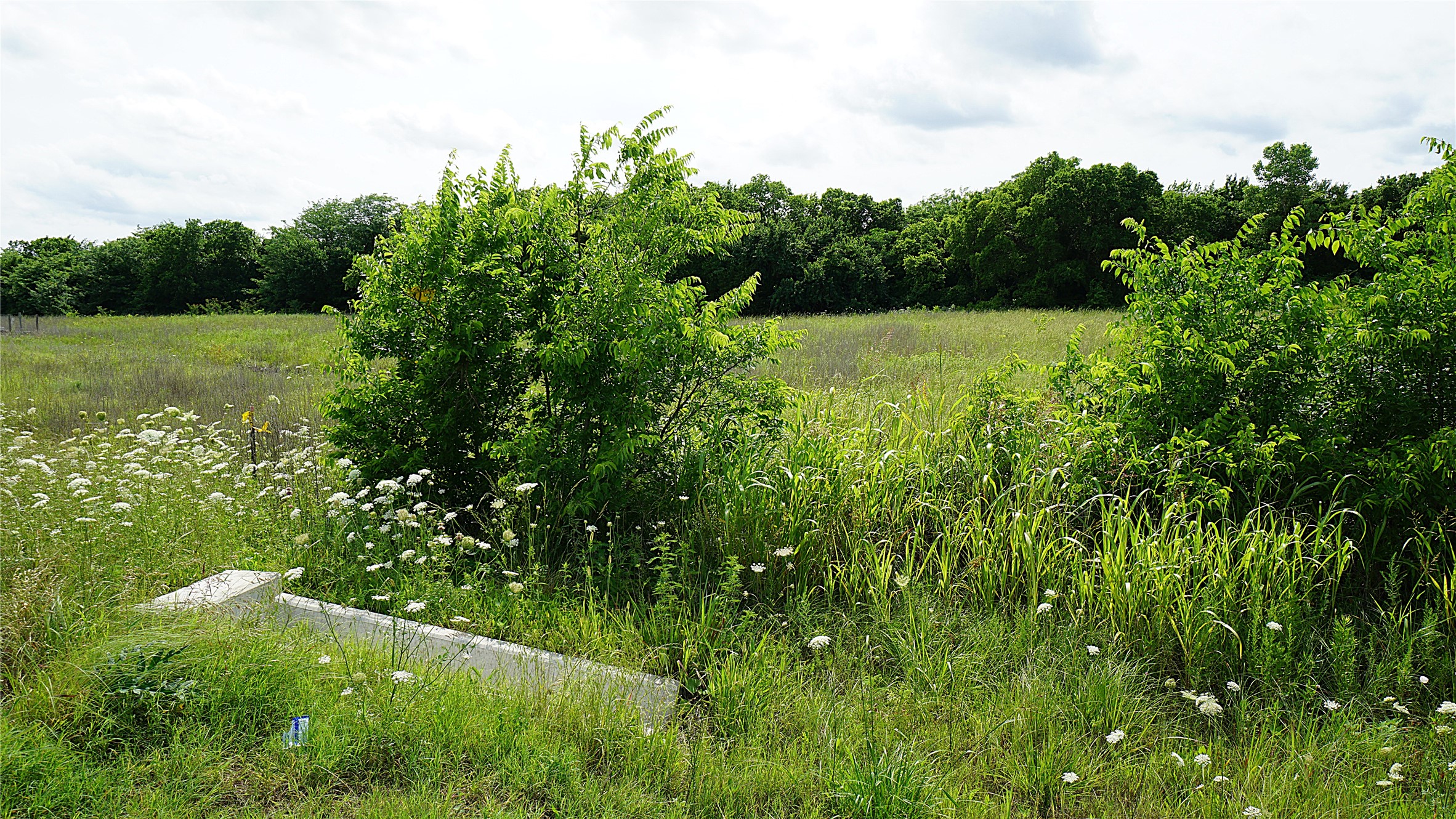 10468 State Highway 50 Ladonia TX 75449