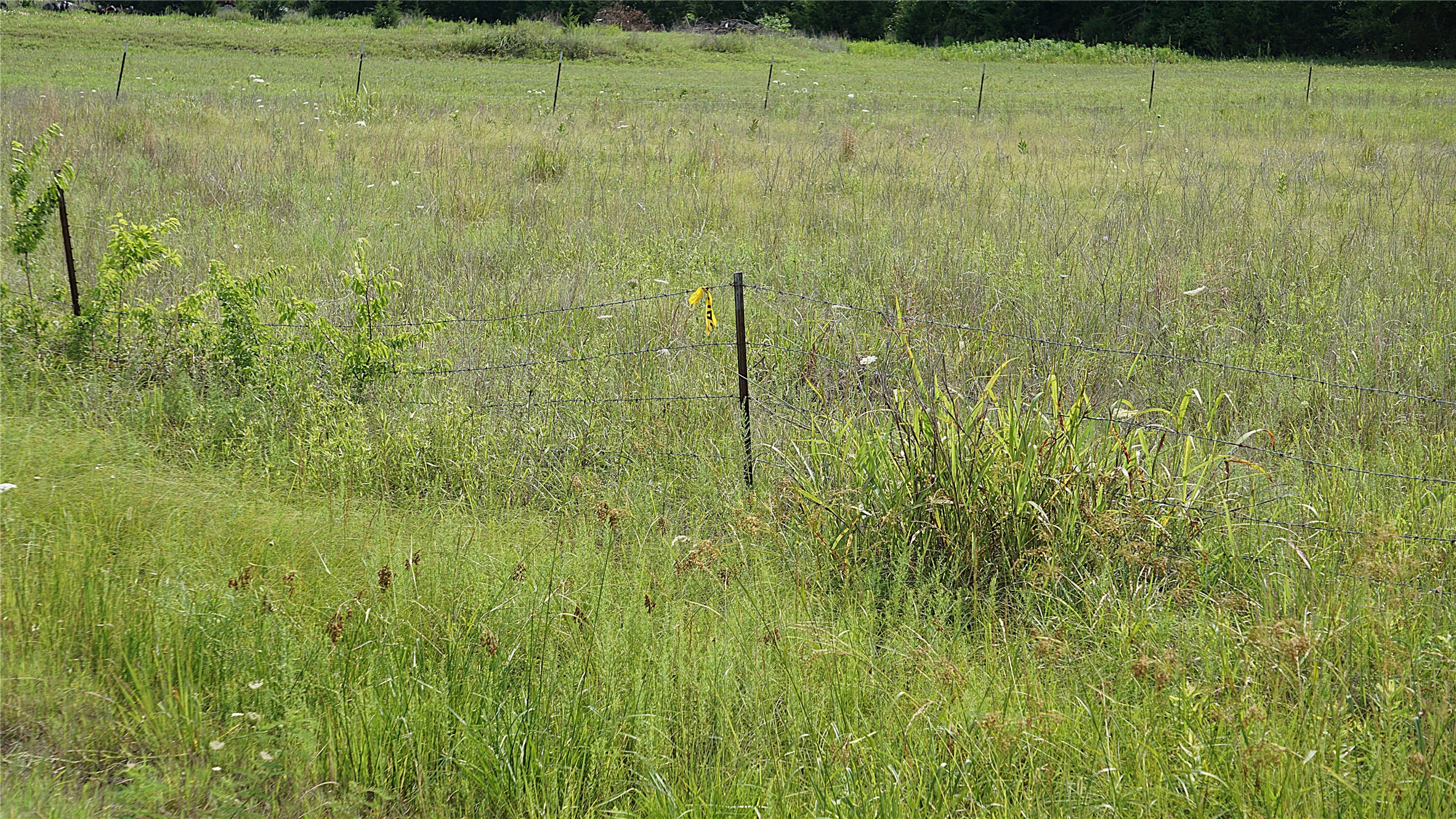 10468 State Highway 50 Ladonia TX 75449