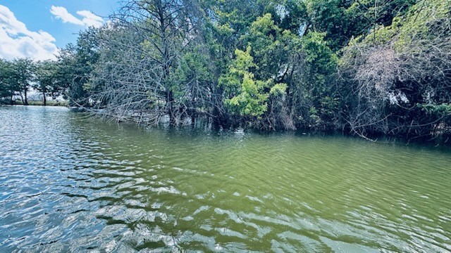 265 Sailview Court Honey Grove TX 75446