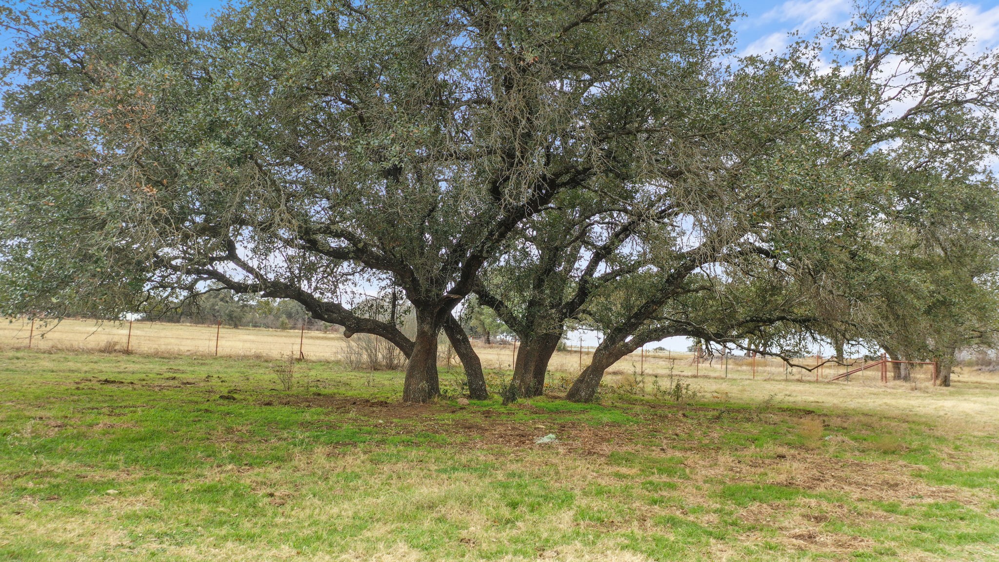 Tbd Fm 2201 Santo TX 76472