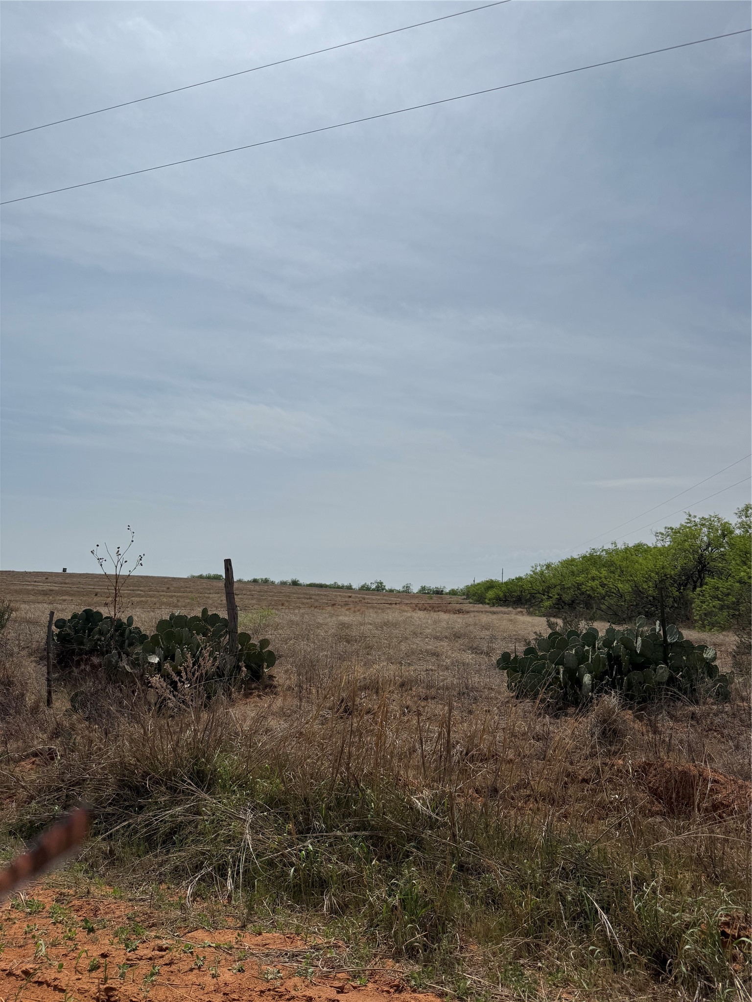 Tbd Cr 113 Sweetwater TX 79556