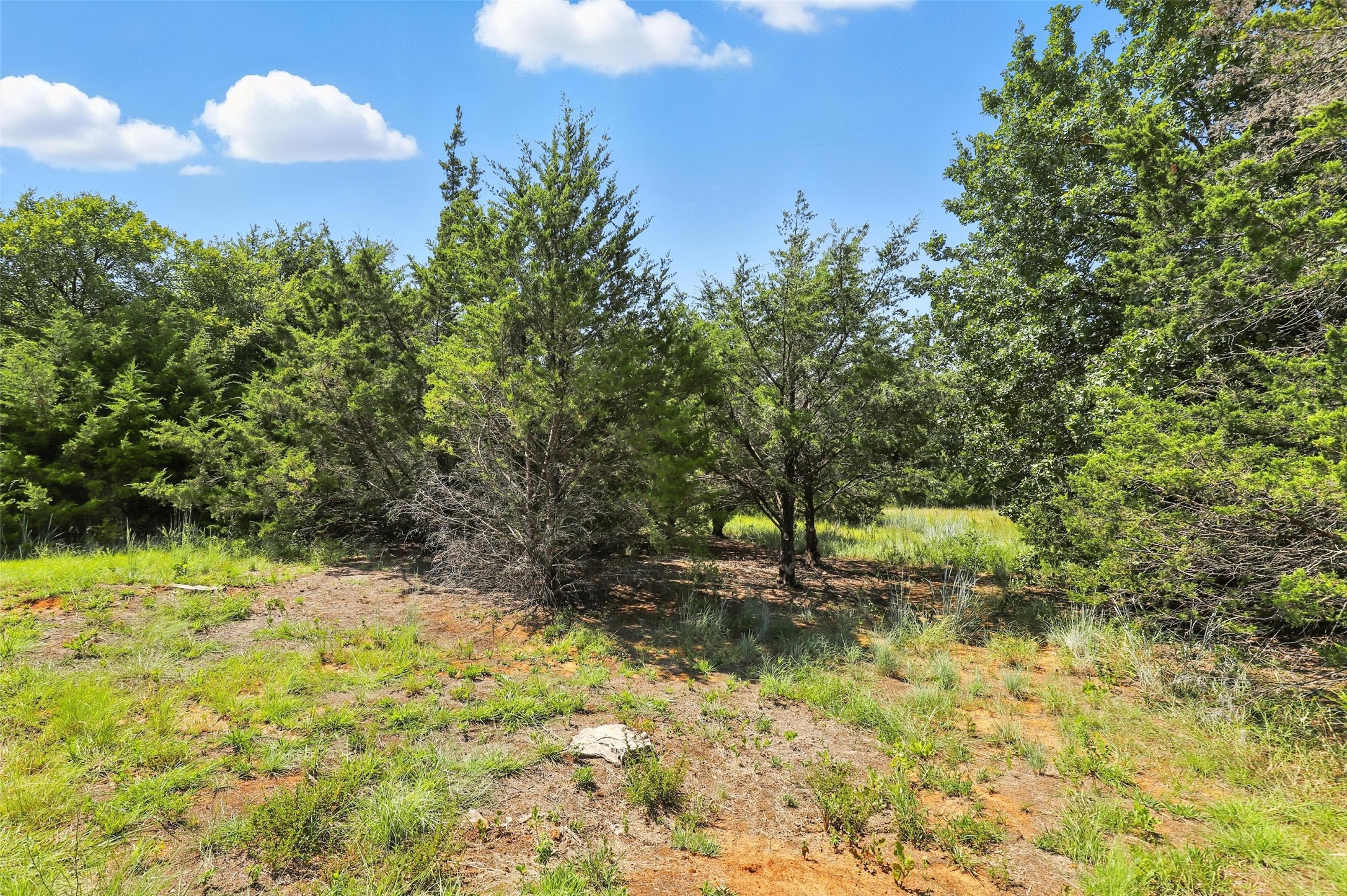 Tbd Dan Road Alvarado TX 76009