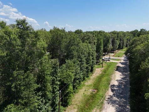 Lots 265-267 Knottypine Livingston TX 77351