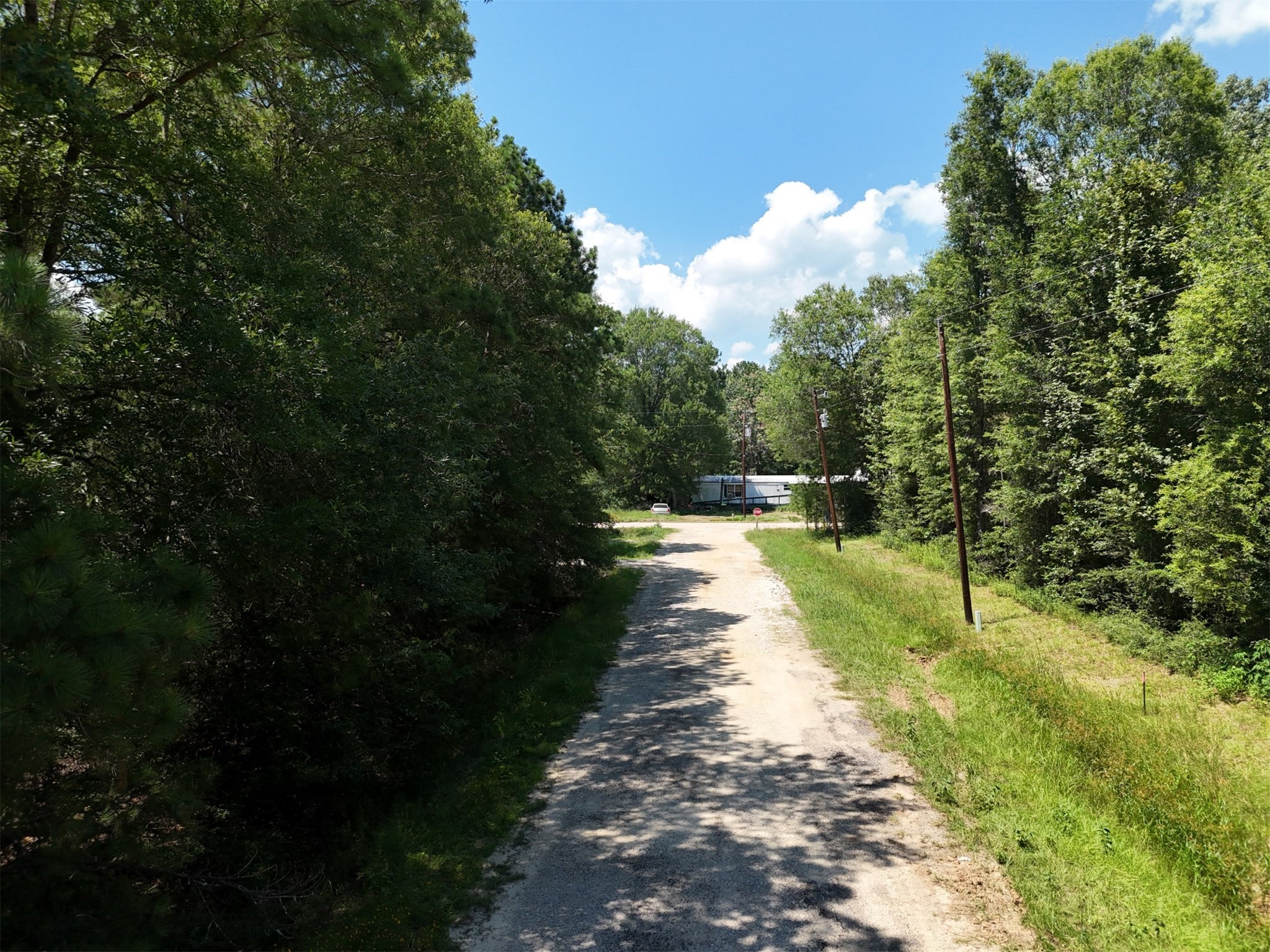 Lots 265-267 Knottypine Livingston TX 77351