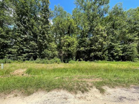 Lots 265-267 Knottypine Livingston TX 77351