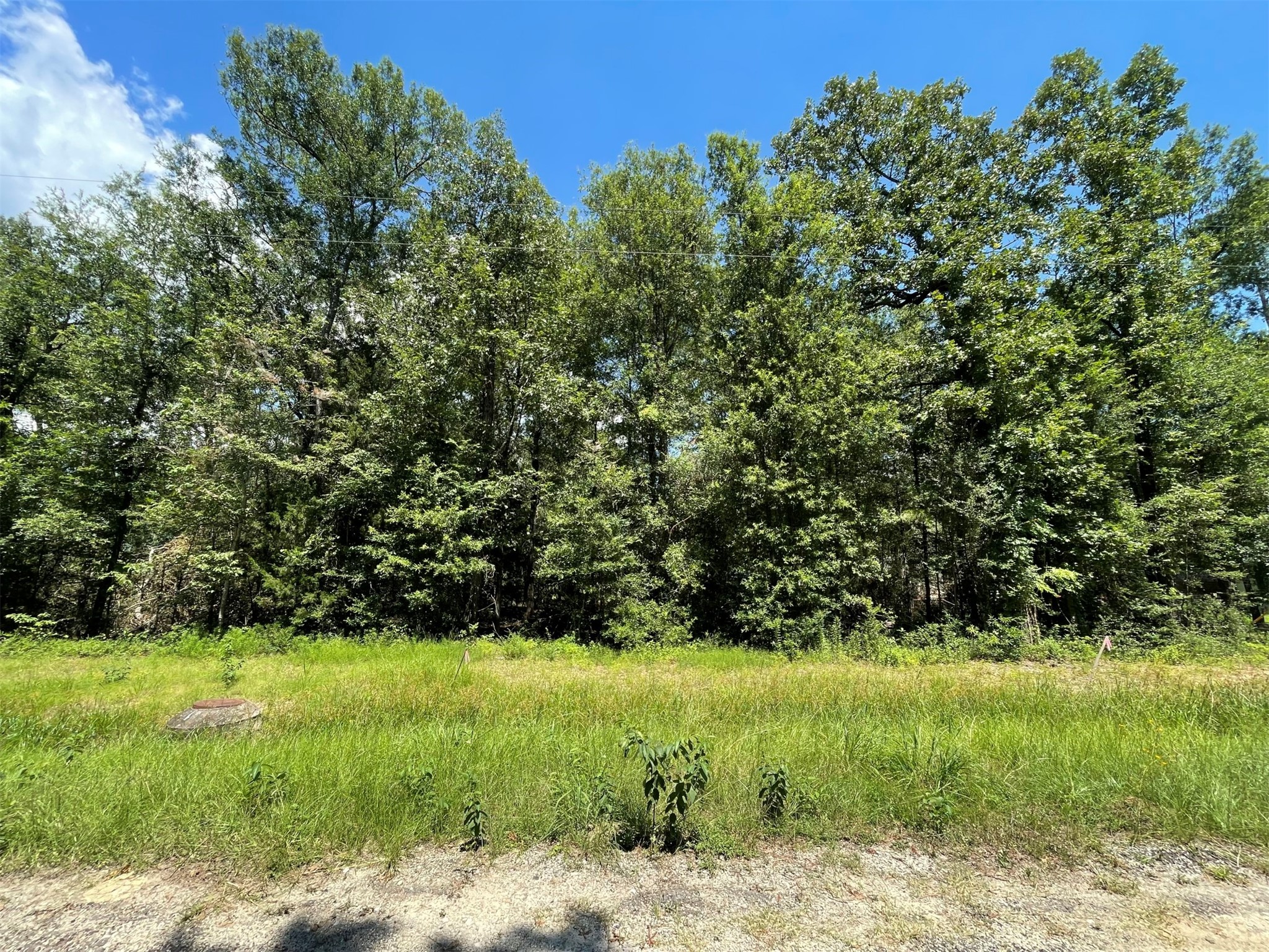 Lots 265-267 Knottypine Livingston TX 77351