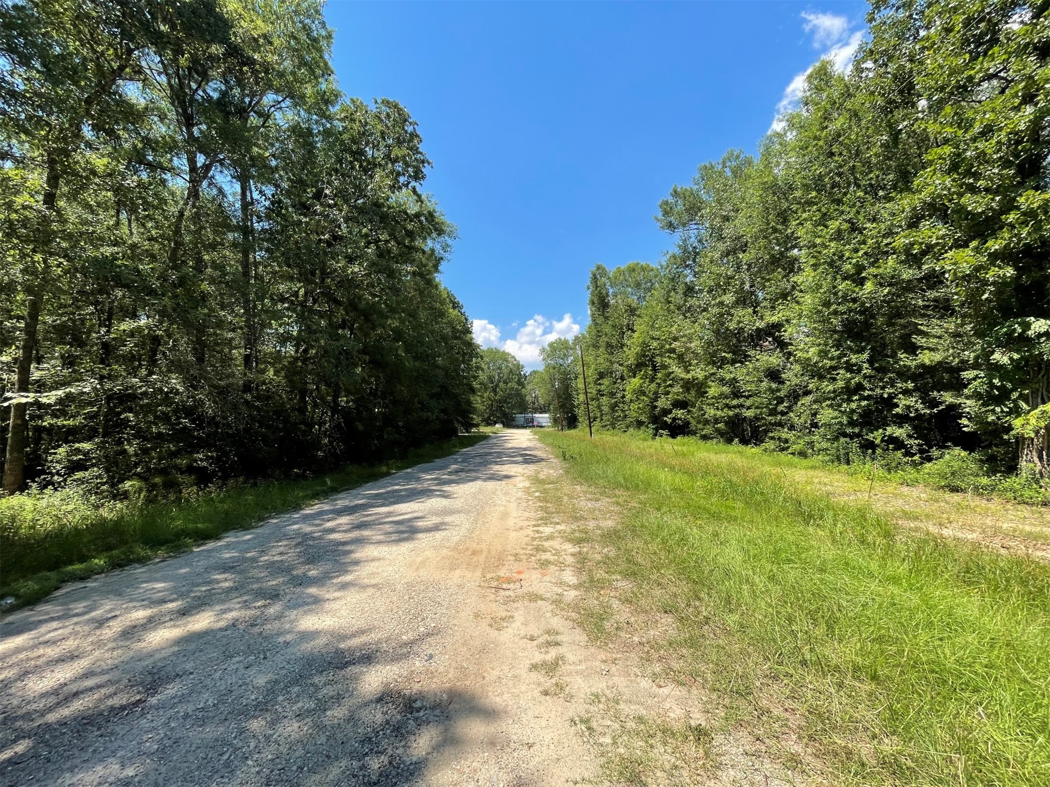 Lots 265-267 Knottypine Livingston TX 77351
