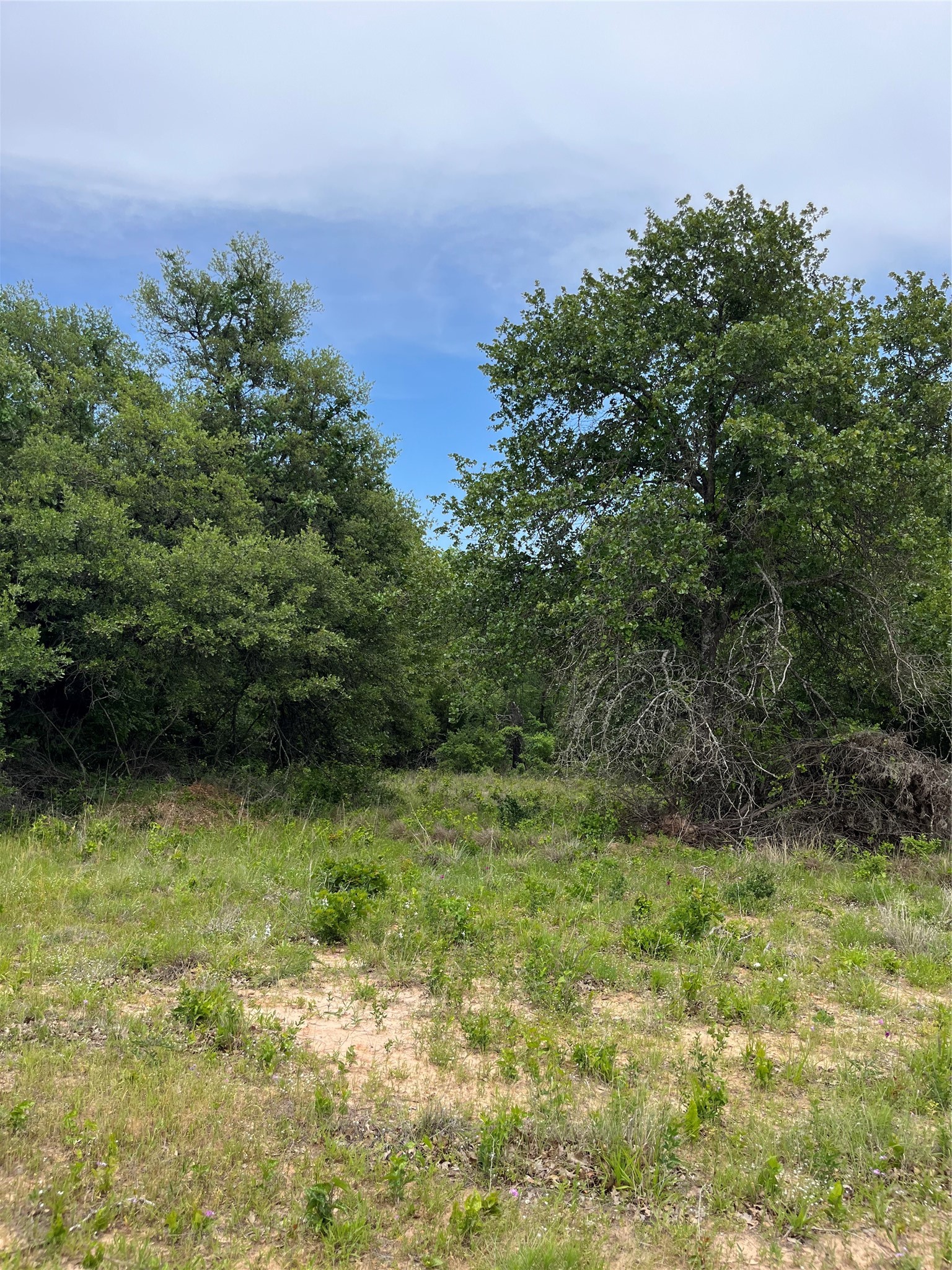 Lot 96 Kilkenny Road Poolville TX 76487