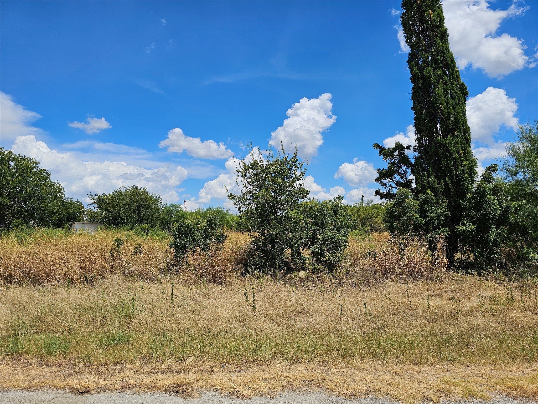 Tbd Brazos Street Coleman TX 76834