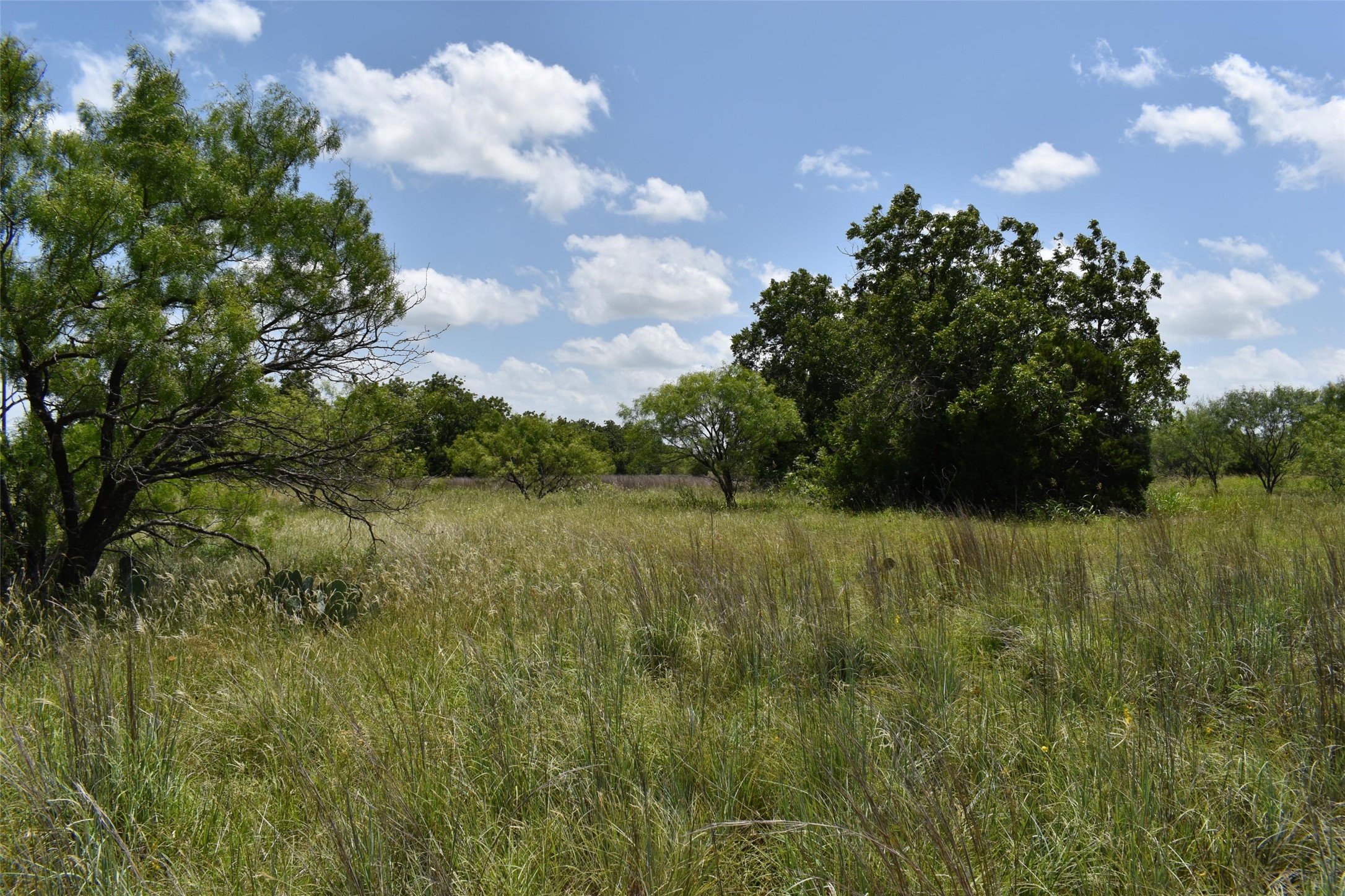 0 Fm 8 Pecan Orchard Side Gorman TX 76454