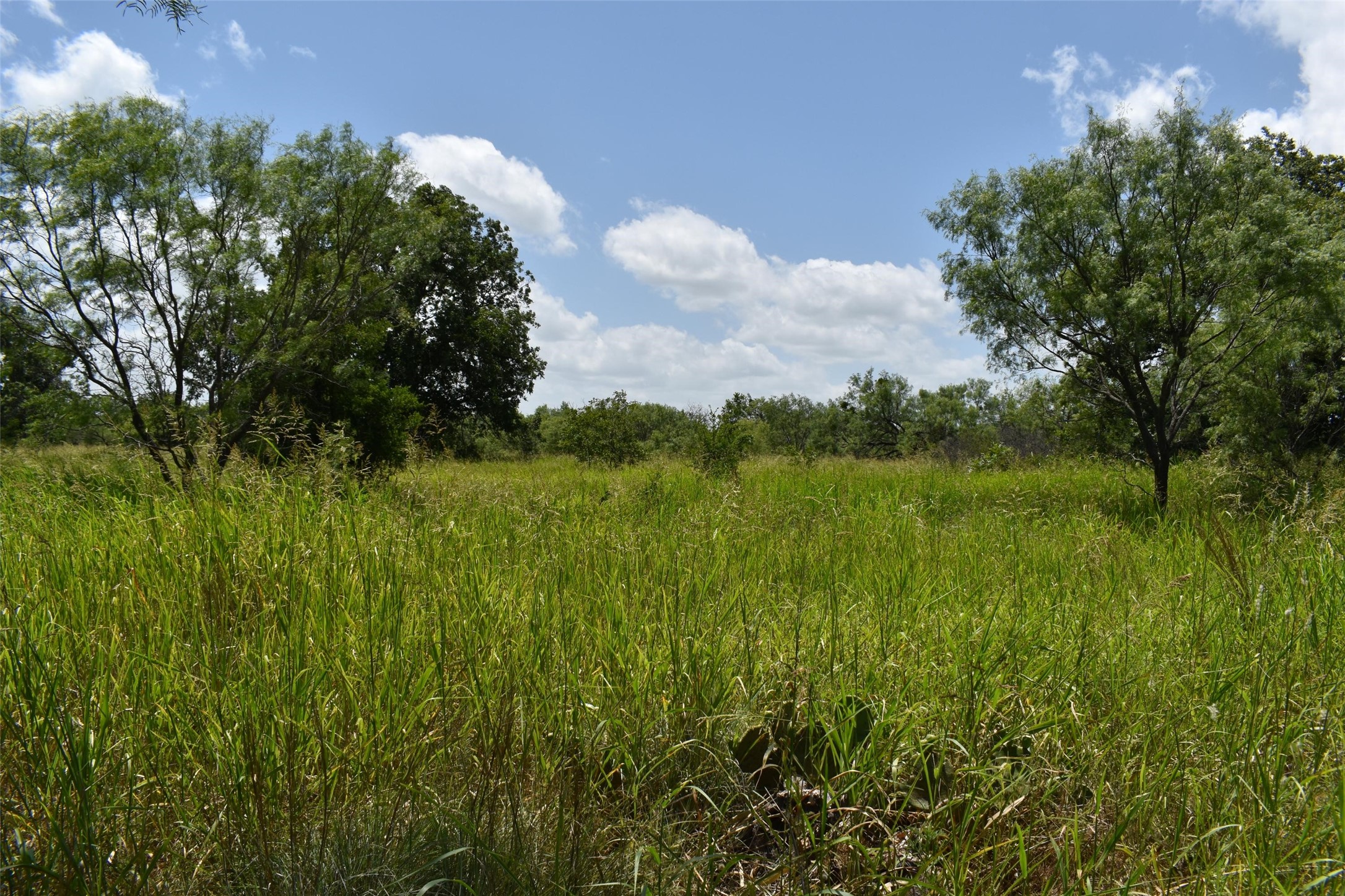 0 Fm 8 Pecan Orchard Side Gorman TX 76454