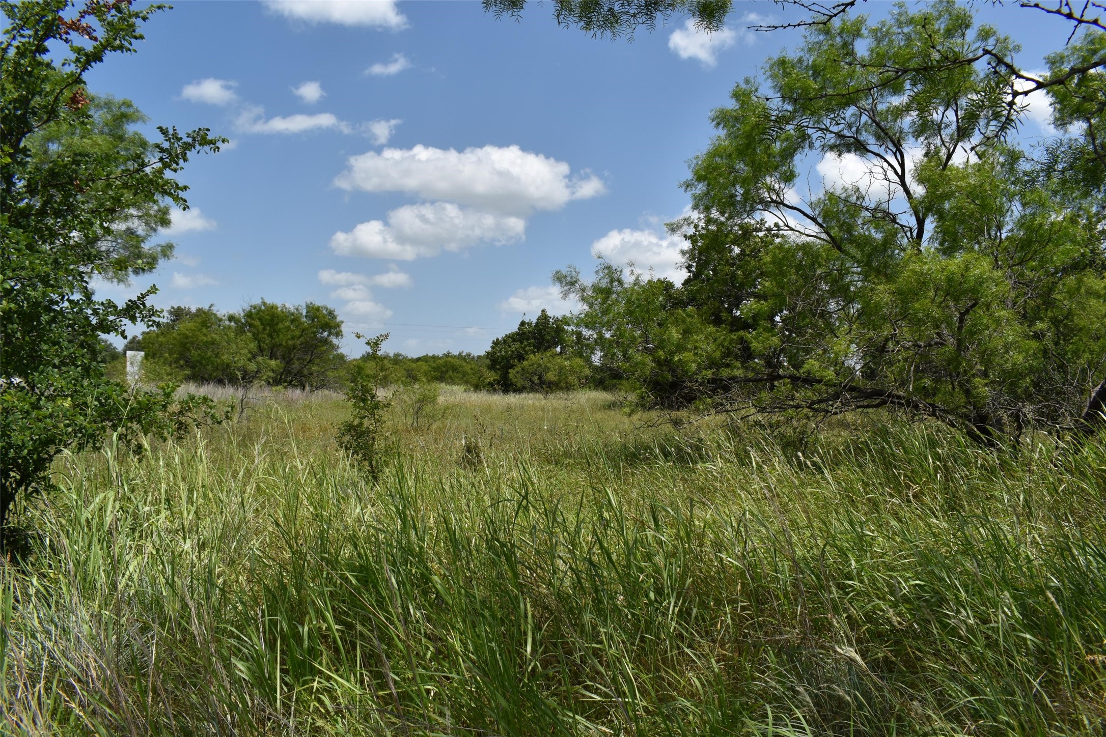 0 Fm 8 Pecan Orchard Side Gorman TX 76454