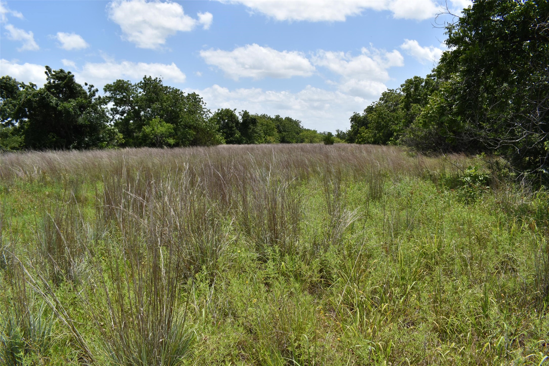 0 Fm 8 Pecan Orchard Side Gorman TX 76454