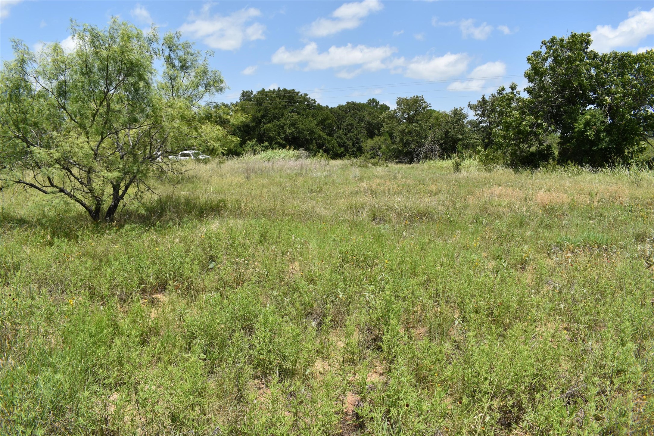 0 Fm 8 Pecan Orchard Side Gorman TX 76454