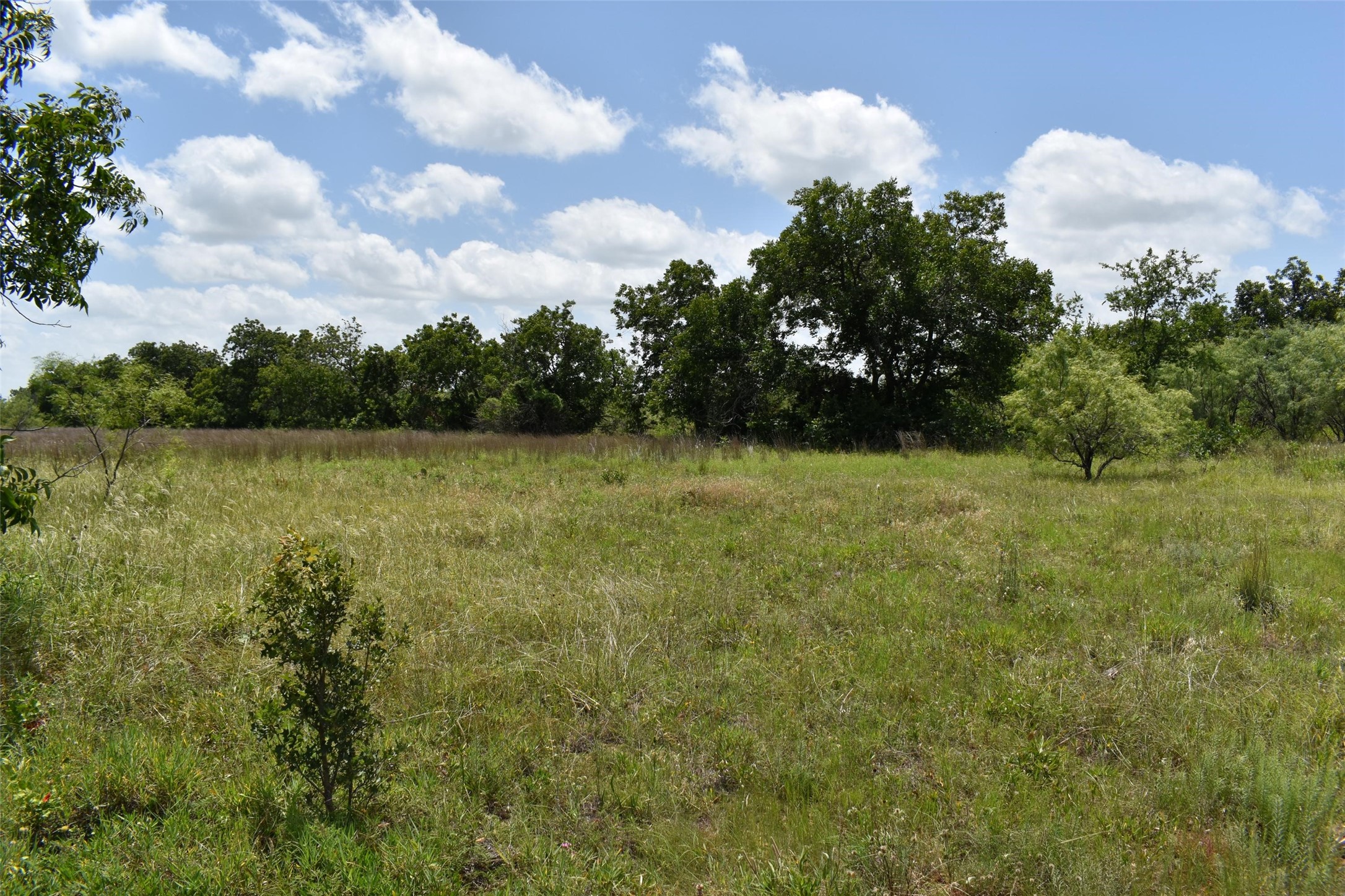 0 Fm 8 Pecan Orchard Side Gorman TX 76454