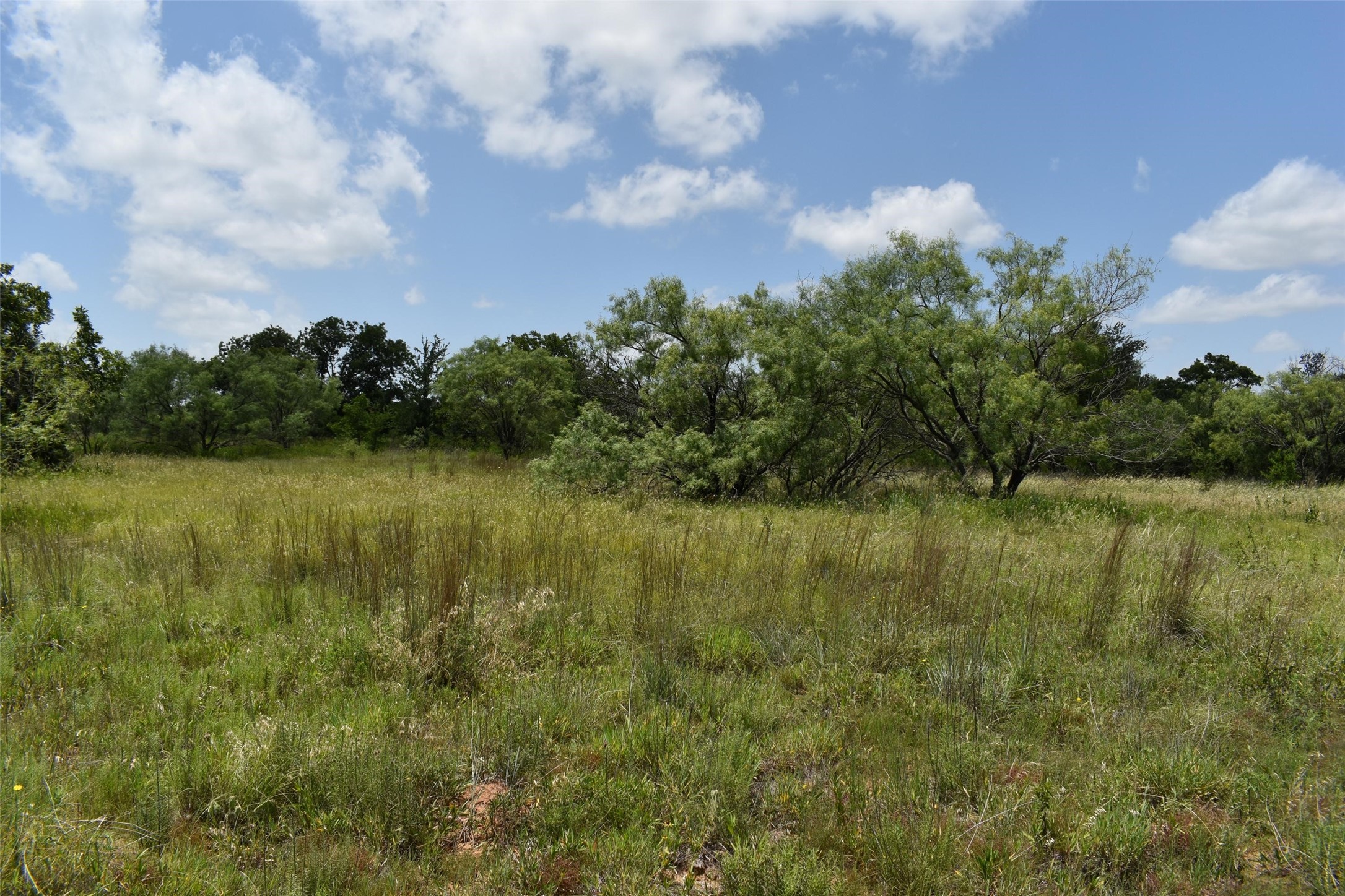 0 Fm 8 Pecan Orchard Side Gorman TX 76454