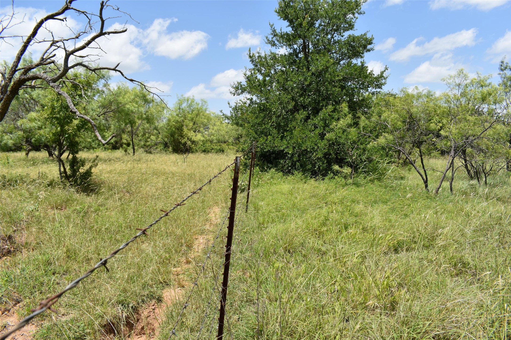 0 Fm 8 Pecan Orchard Side Gorman TX 76454