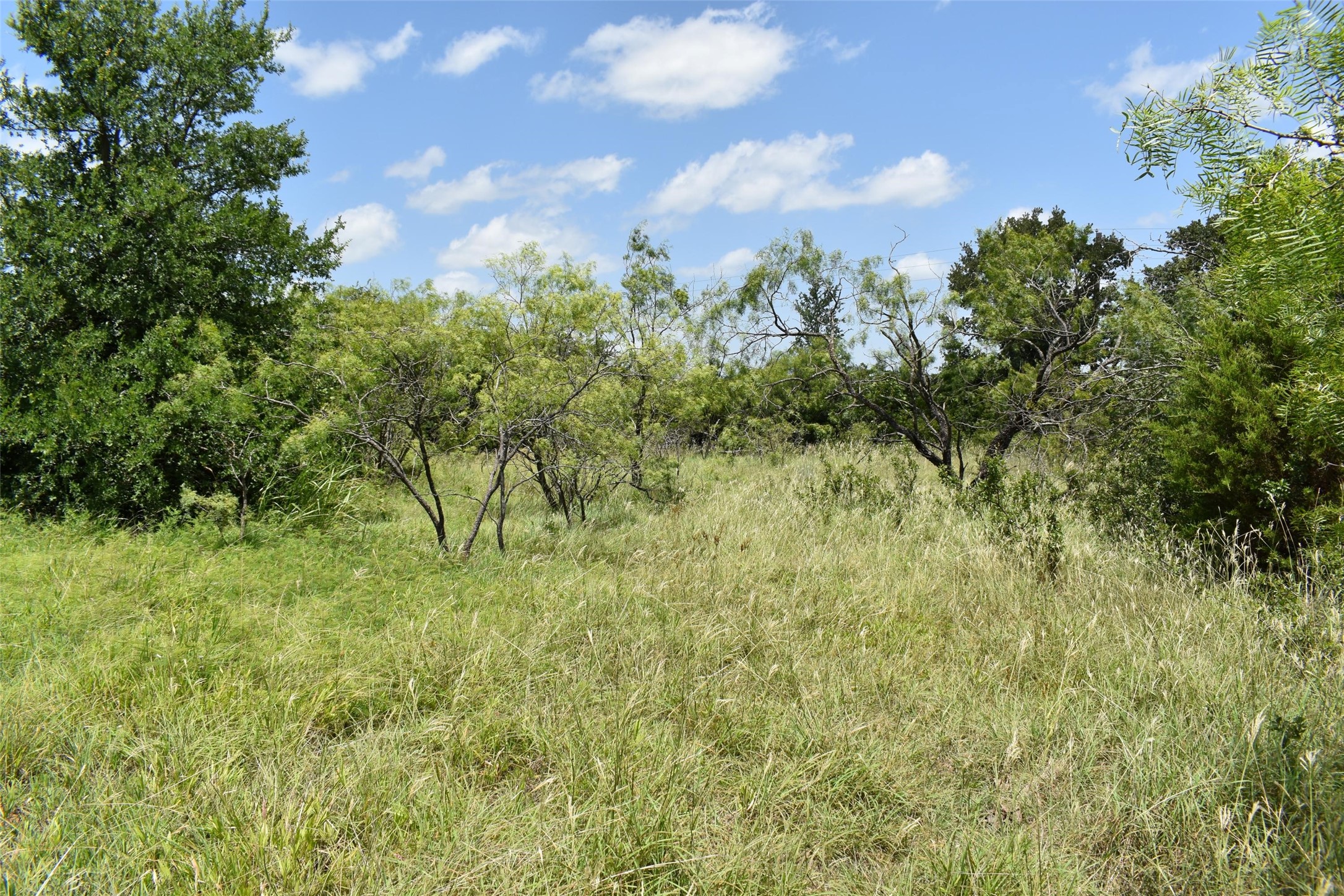 0 Fm 8 Pecan Orchard Side Gorman TX 76454
