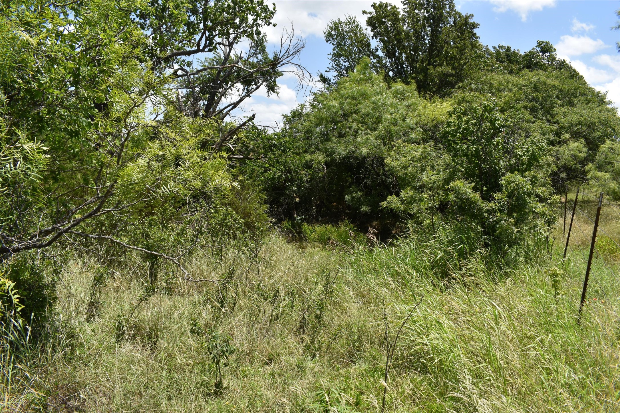0 Fm 8 Pecan Orchard Side Gorman TX 76454