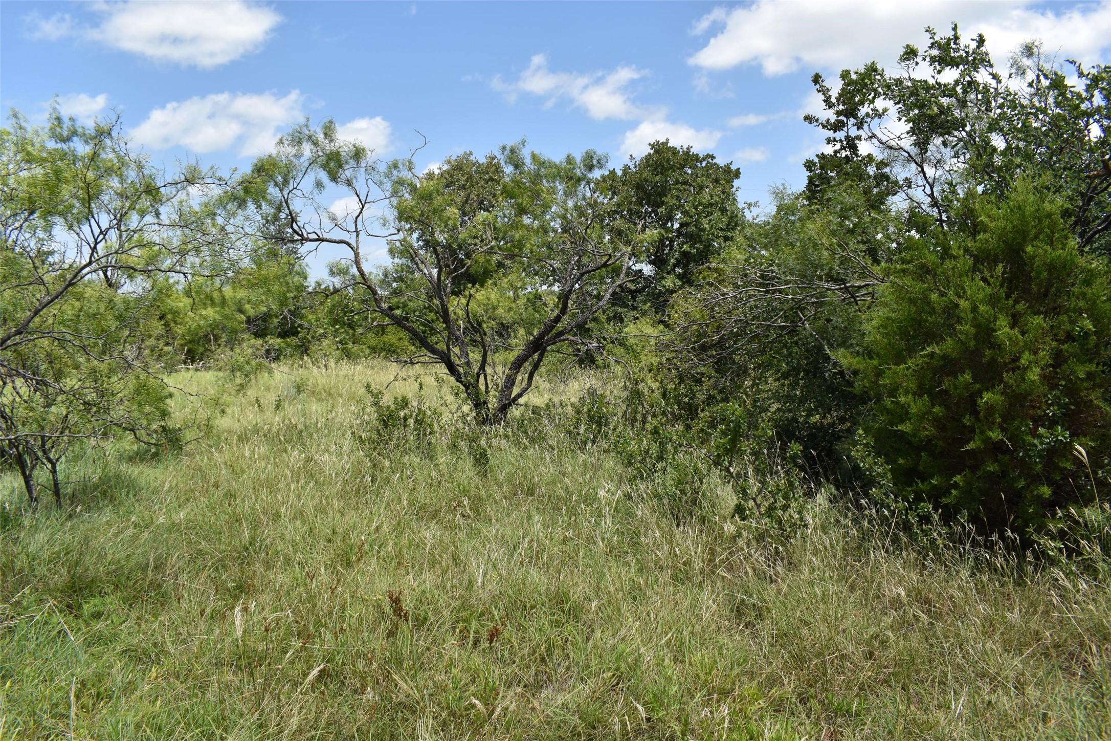 0 Fm 8 Pecan Orchard Side Gorman TX 76454