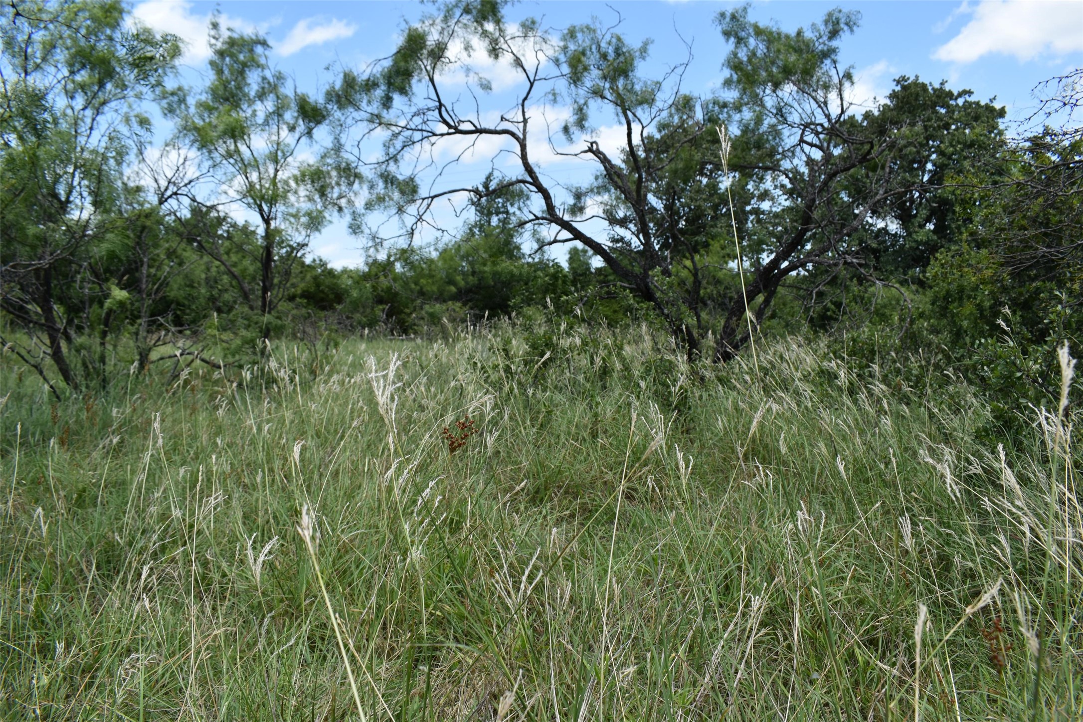 0 Fm 8 Pecan Orchard Side Gorman TX 76454