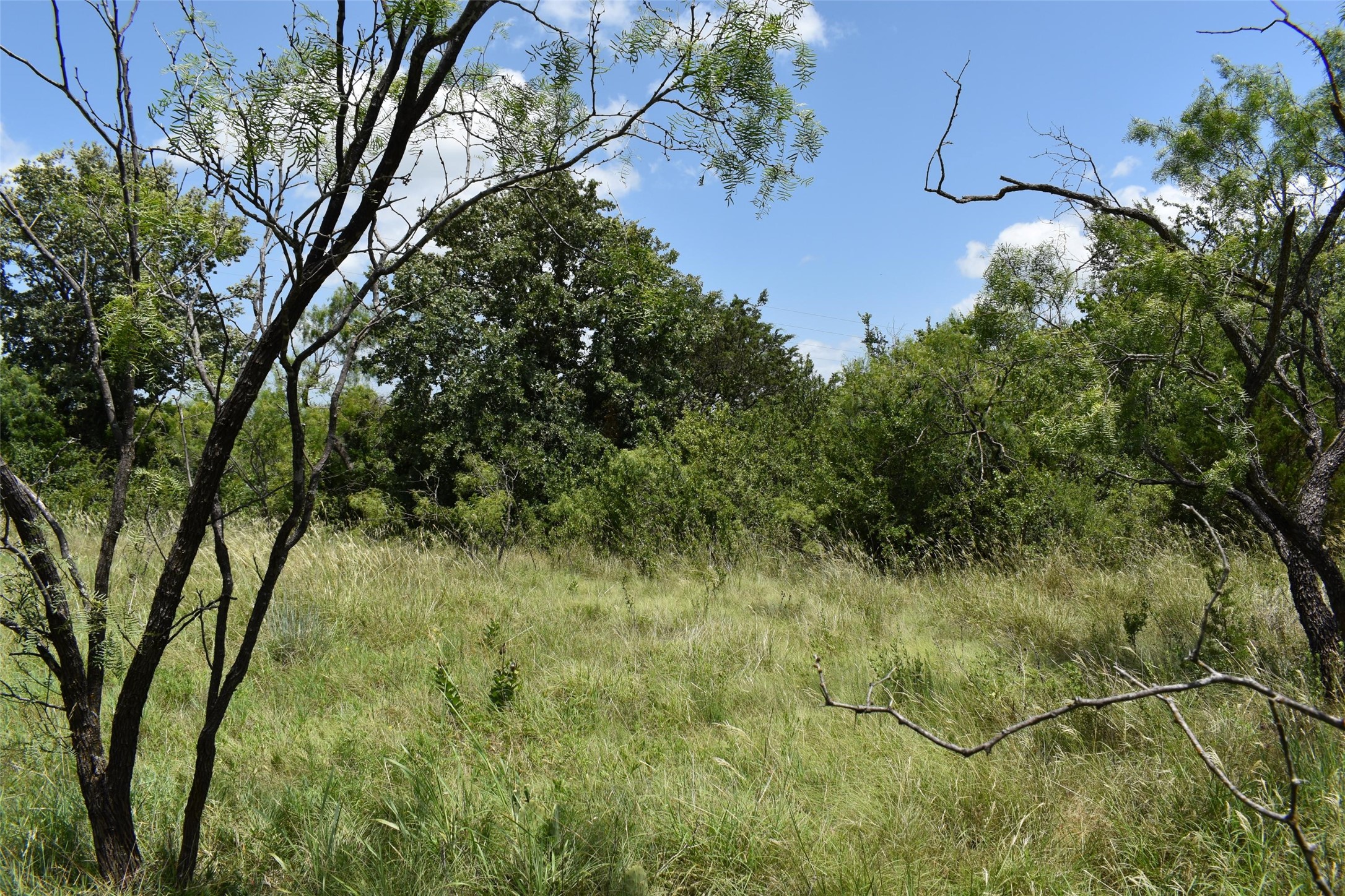 0 Fm 8 Pecan Orchard Side Gorman TX 76454