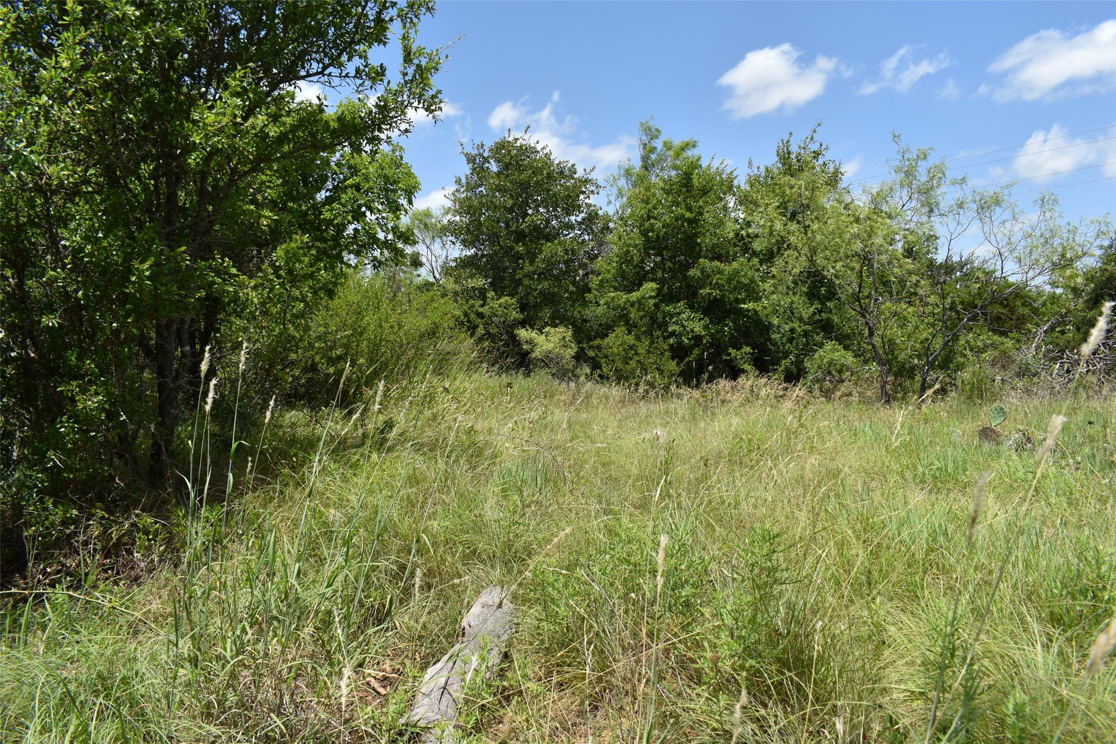 0 Fm 8 Pecan Orchard Side Gorman TX 76454