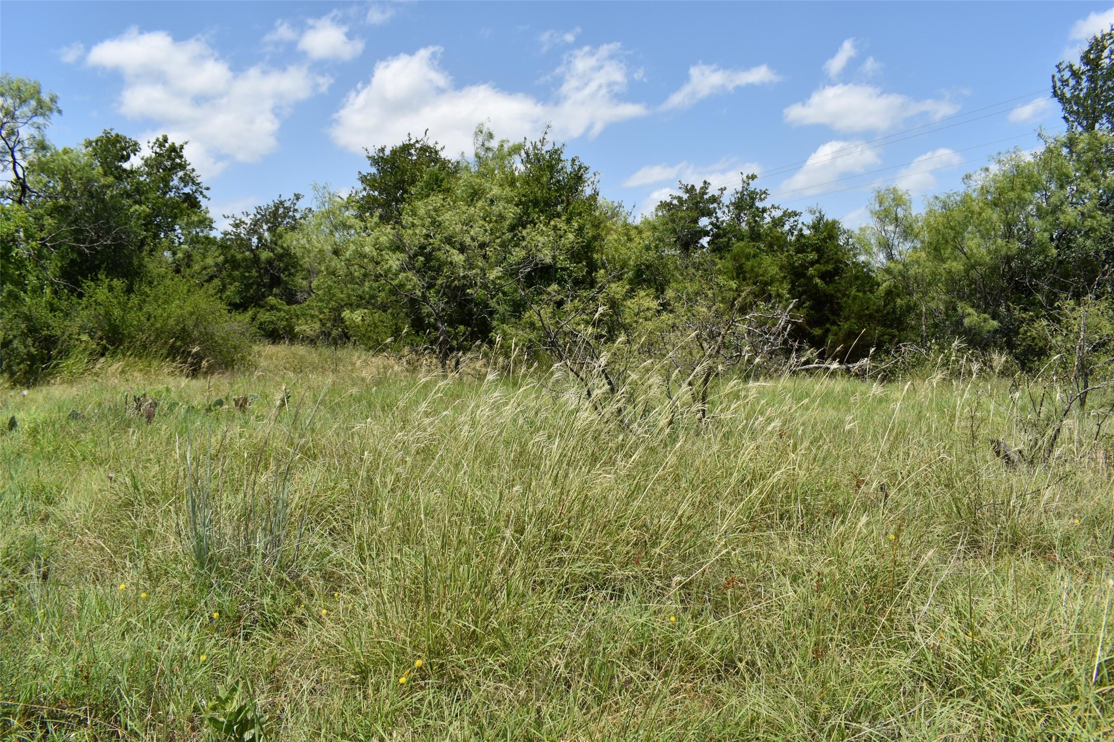 0 Fm 8 Pecan Orchard Side Gorman TX 76454