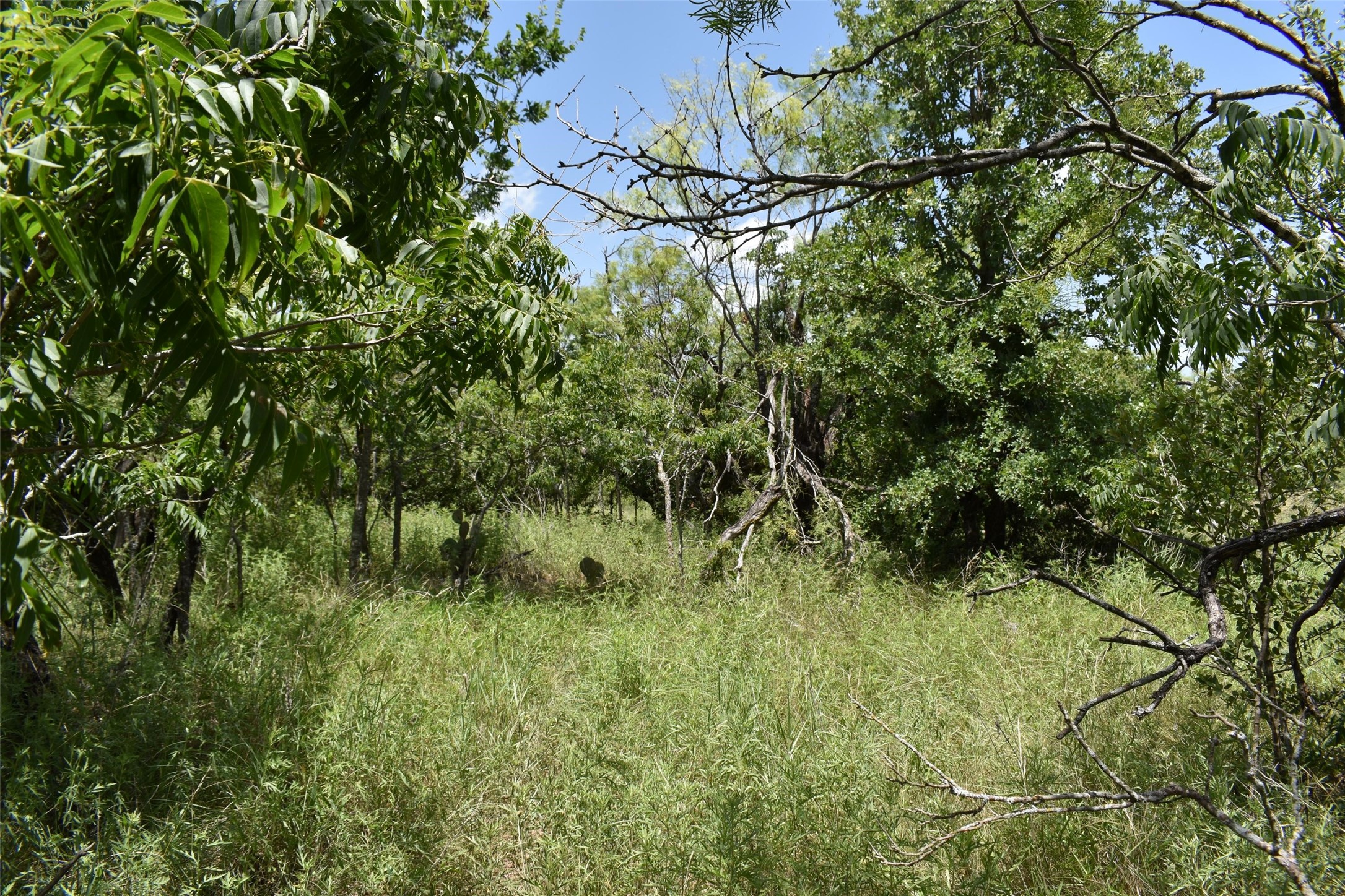 0 Fm 8 Pecan Orchard Side Gorman TX 76454