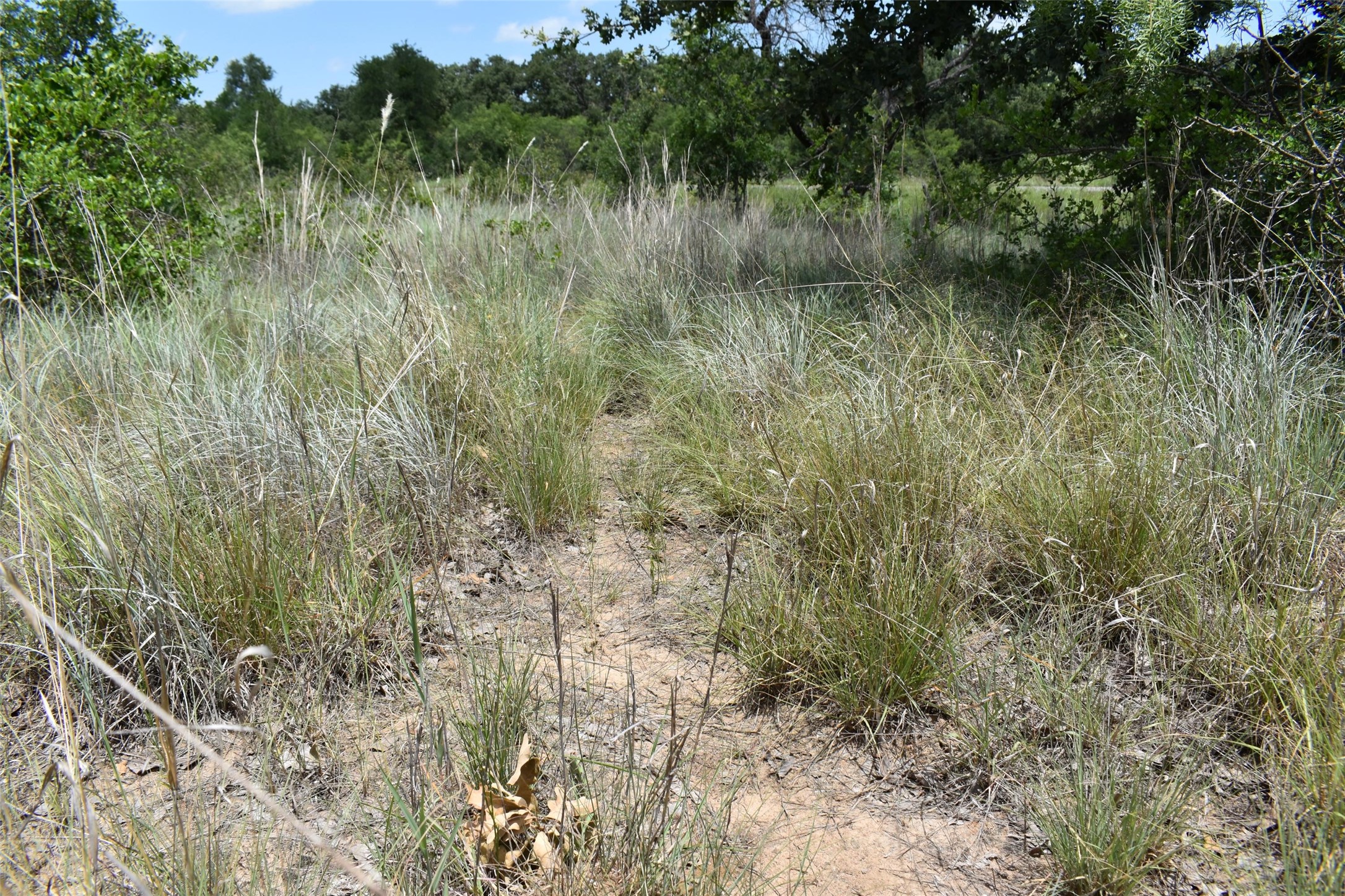 0 Fm 8 Pecan Orchard Side Gorman TX 76454
