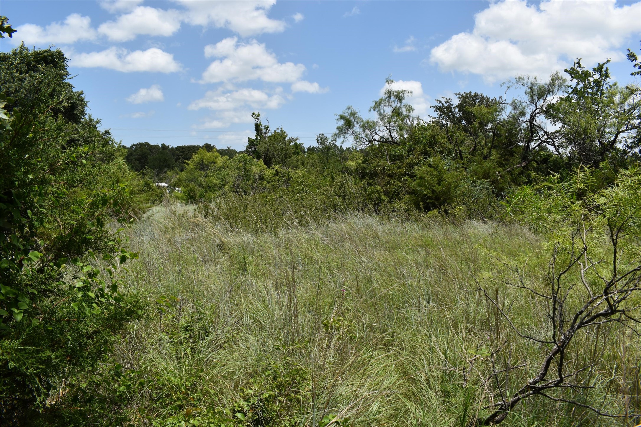 0 Fm 8 Pecan Orchard Side Gorman TX 76454