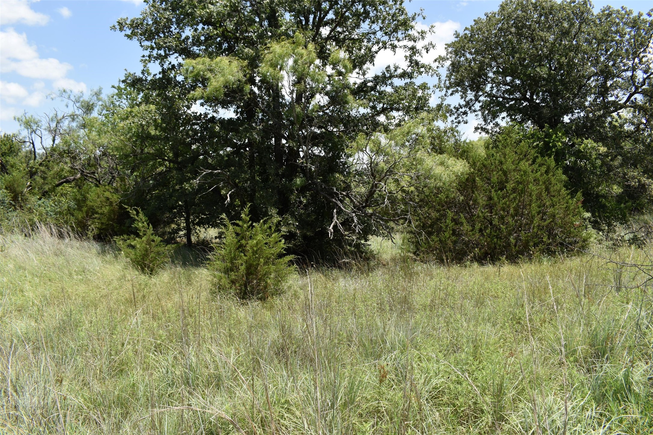 0 Fm 8 Pecan Orchard Side Gorman TX 76454