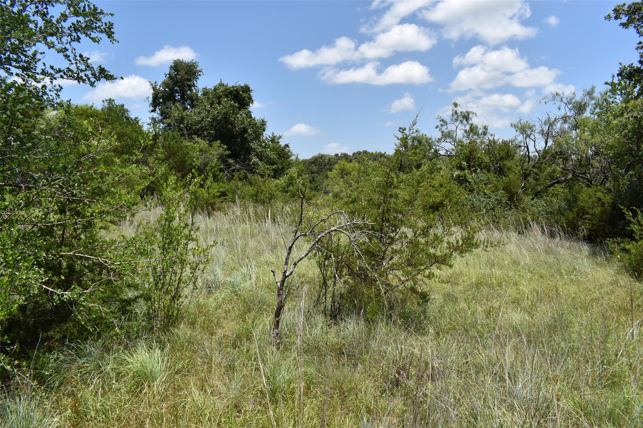 0 Fm 8 Pecan Orchard Side Gorman TX 76454