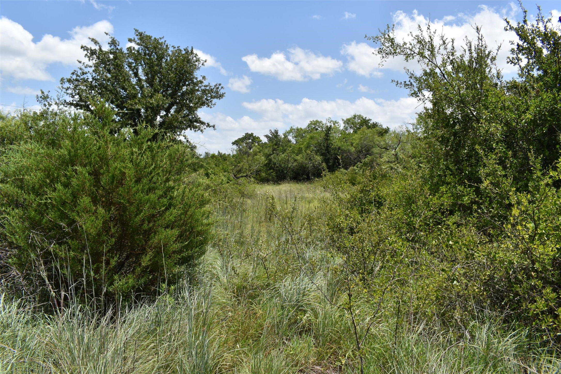 0 Fm 8 Pecan Orchard Side Gorman TX 76454