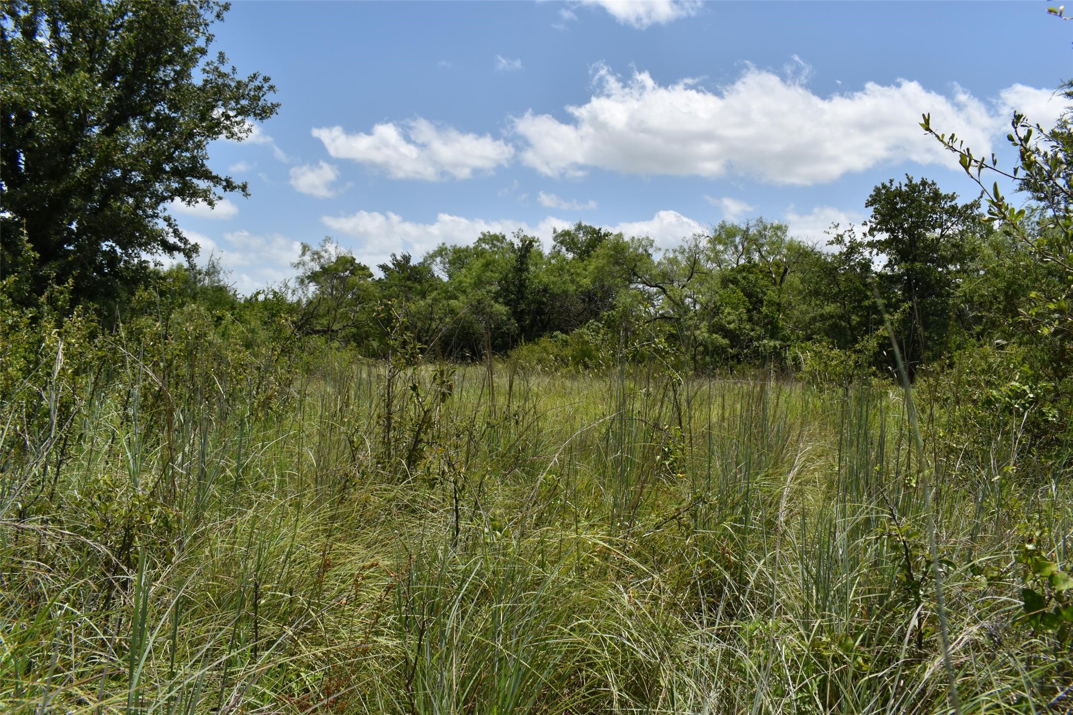 0 Fm 8 Pecan Orchard Side Gorman TX 76454