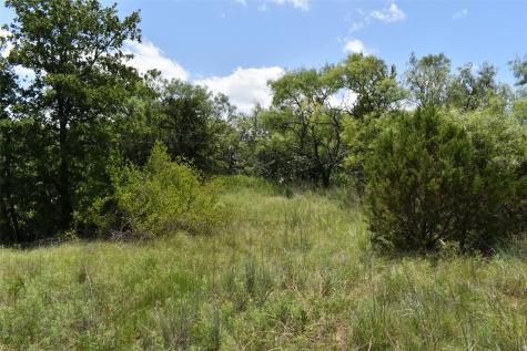 0 Fm 8 Pecan Orchard Side Gorman TX 76454