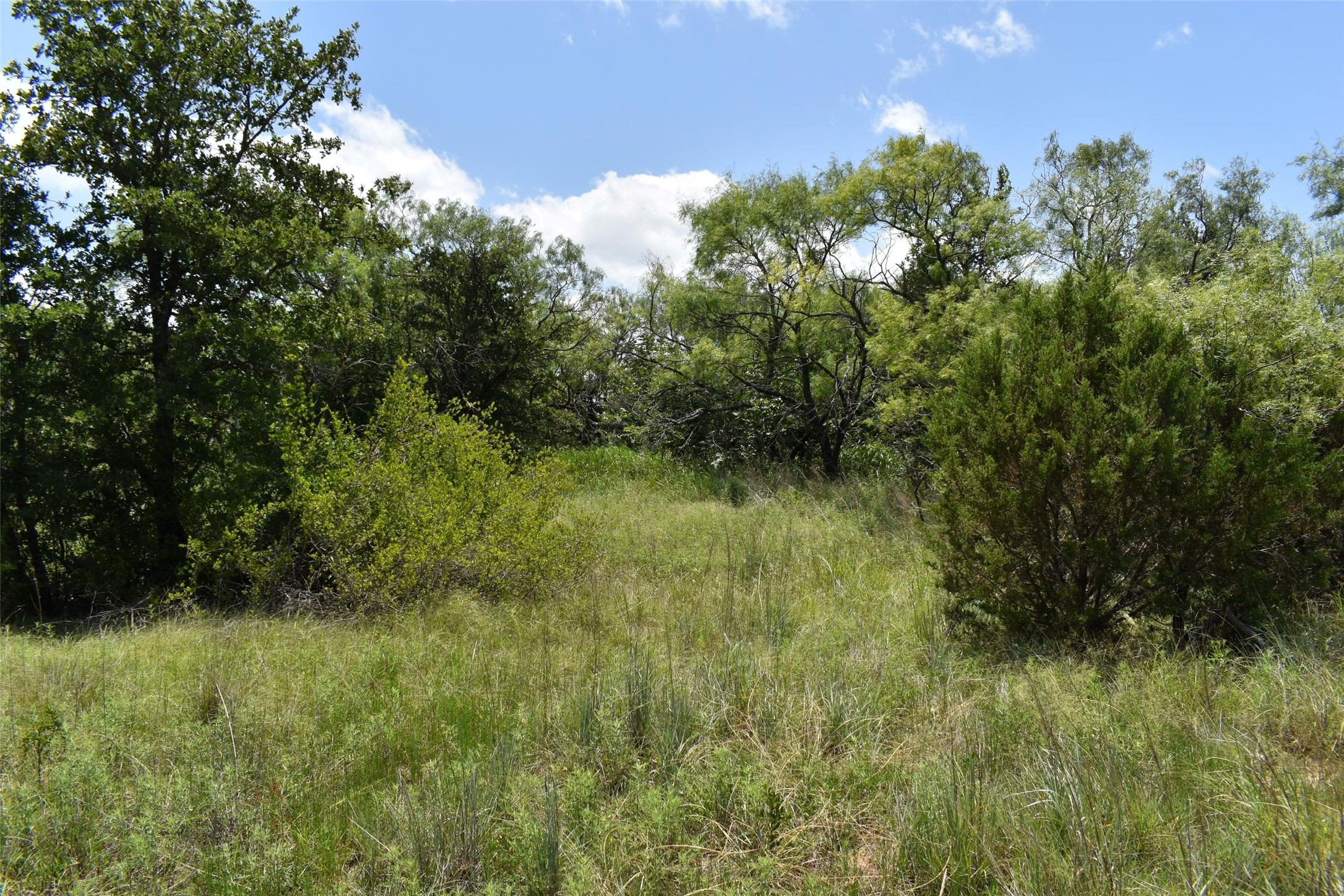 0 Fm 8 Pecan Orchard Side Gorman TX 76454