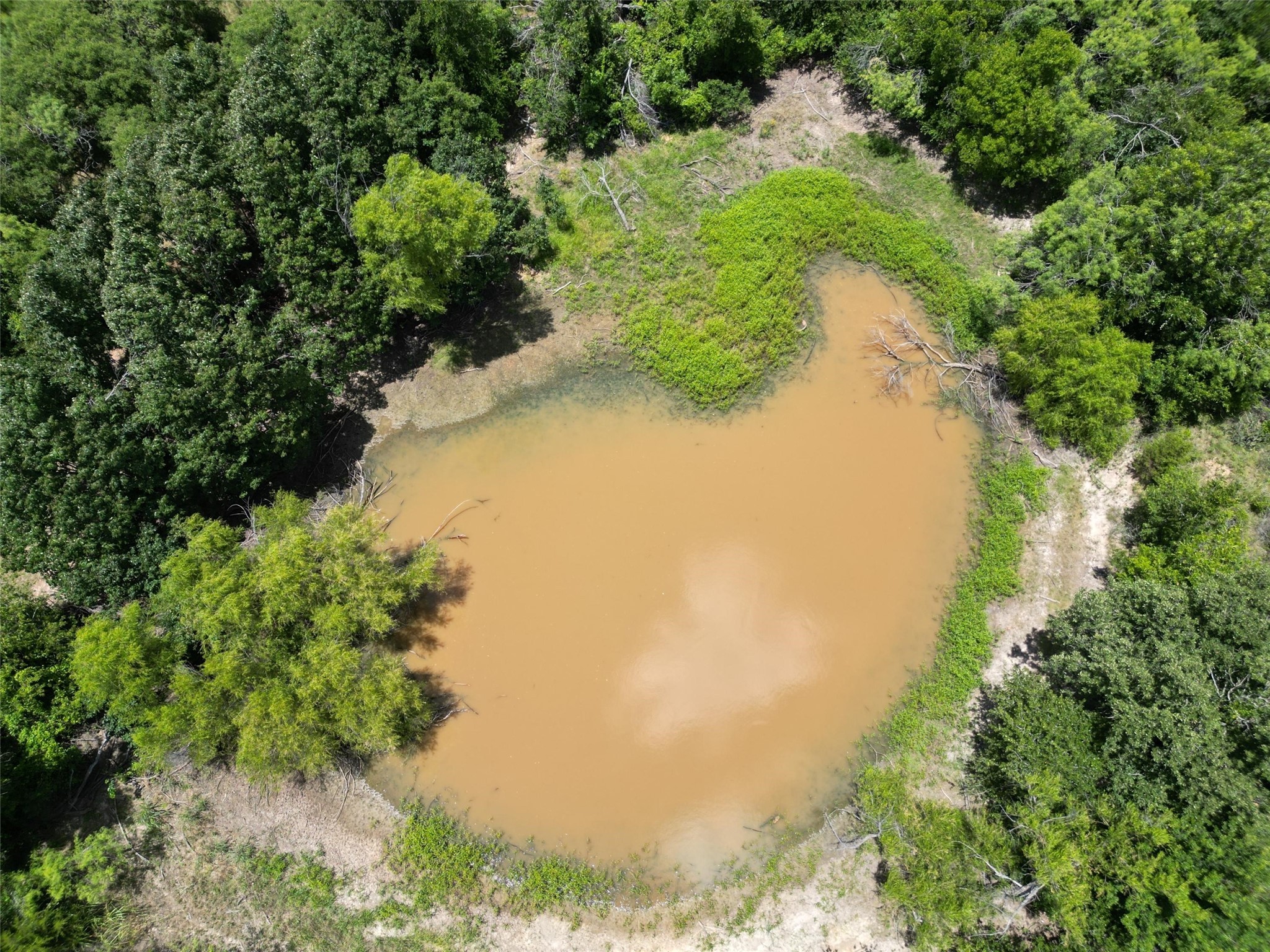 0 Fm 8 Pecan Orchard Side Gorman TX 76454