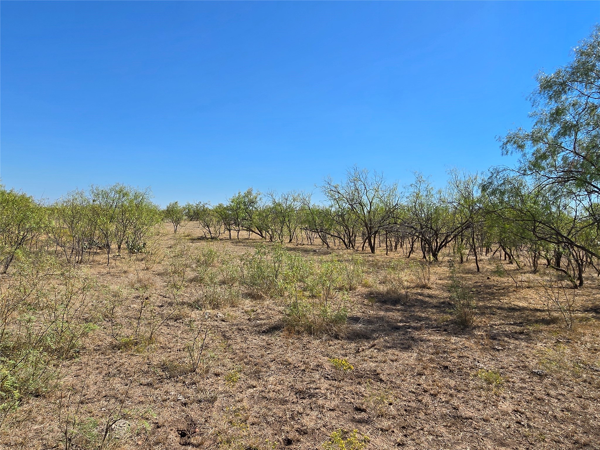 Tbd Cr 498 Goldsboro TX 79519
