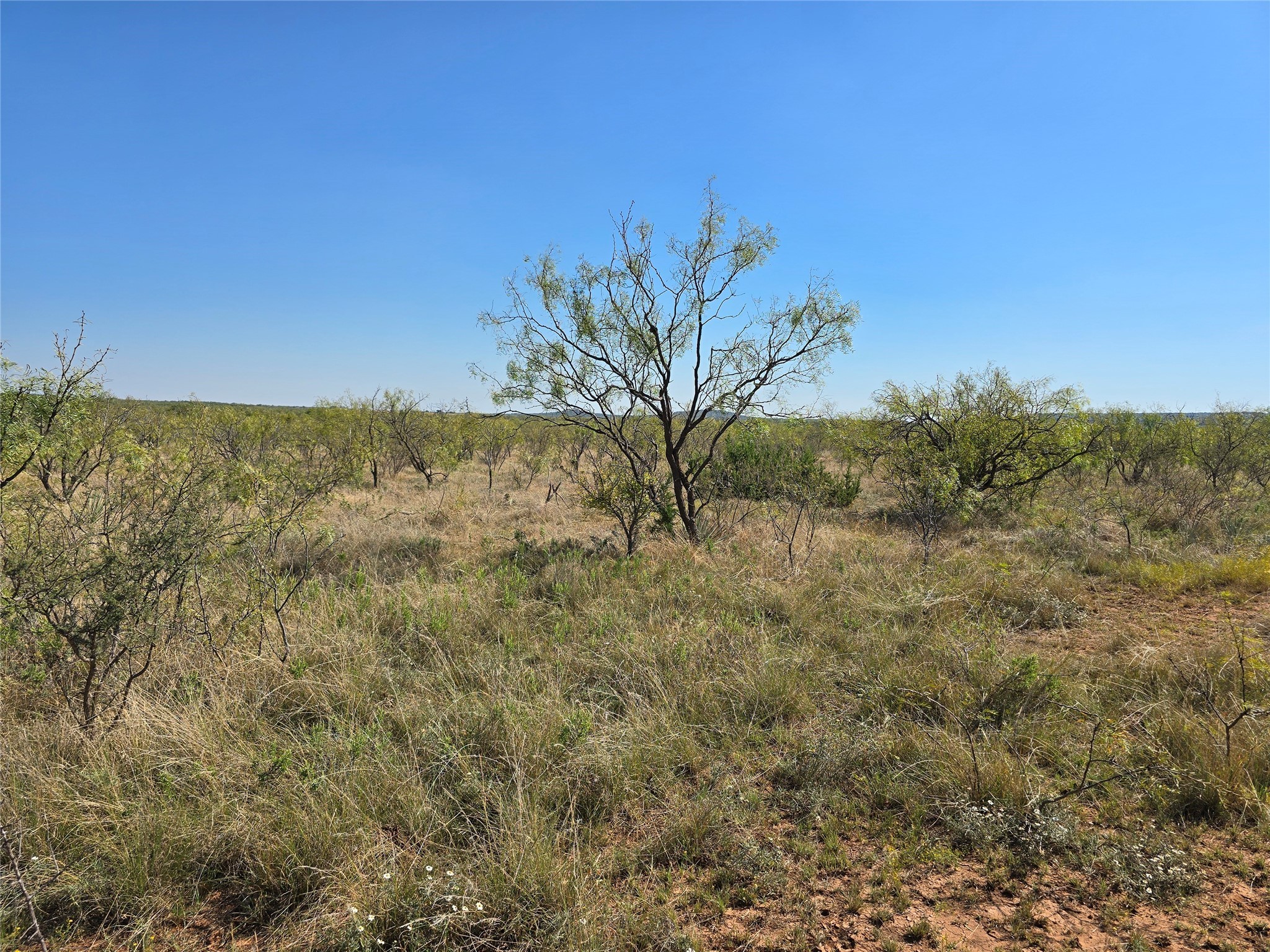 Tbd Cr 498 Goldsboro TX 79519